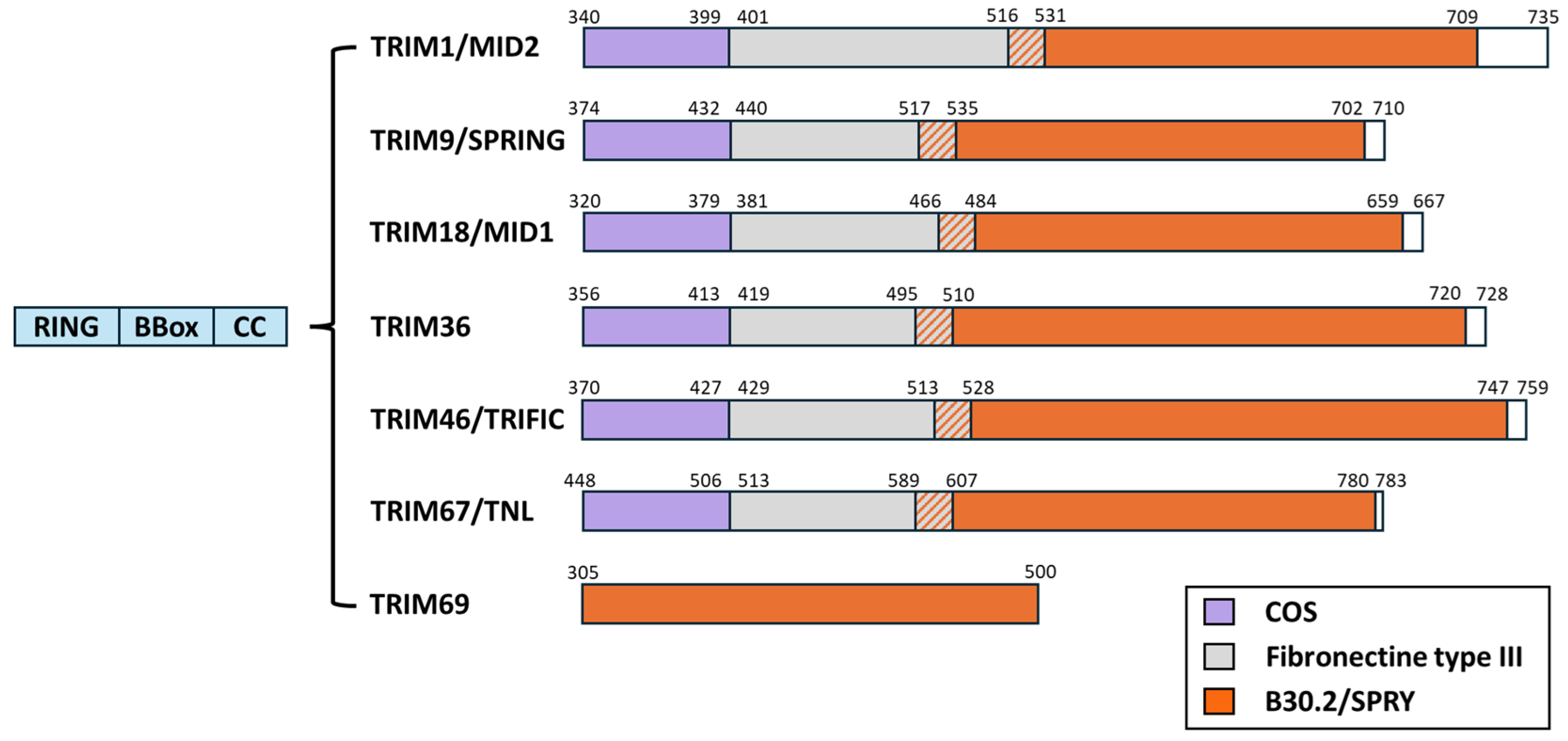 Viruses 16 01328 g006