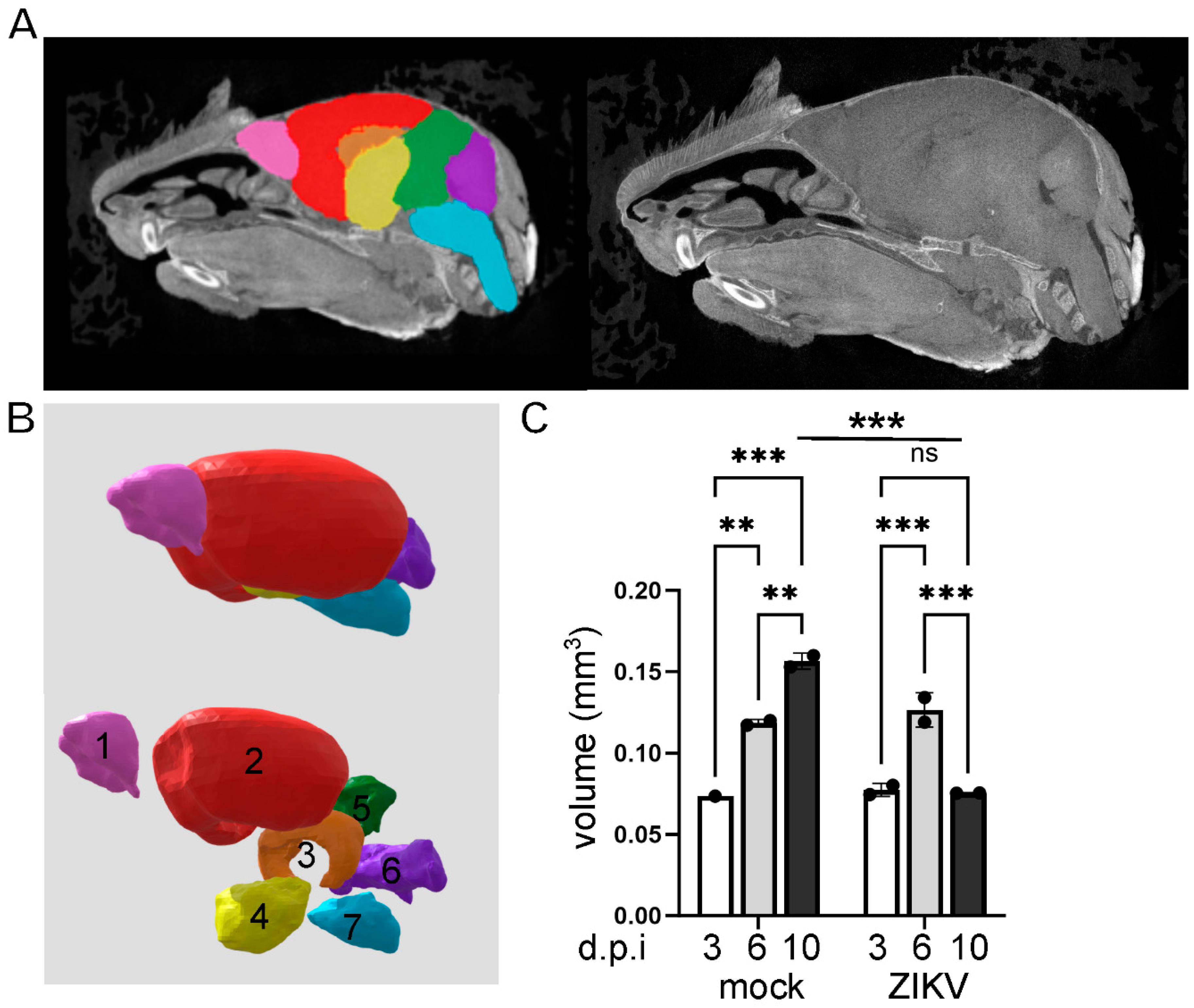 Viruses 16 01330 g002