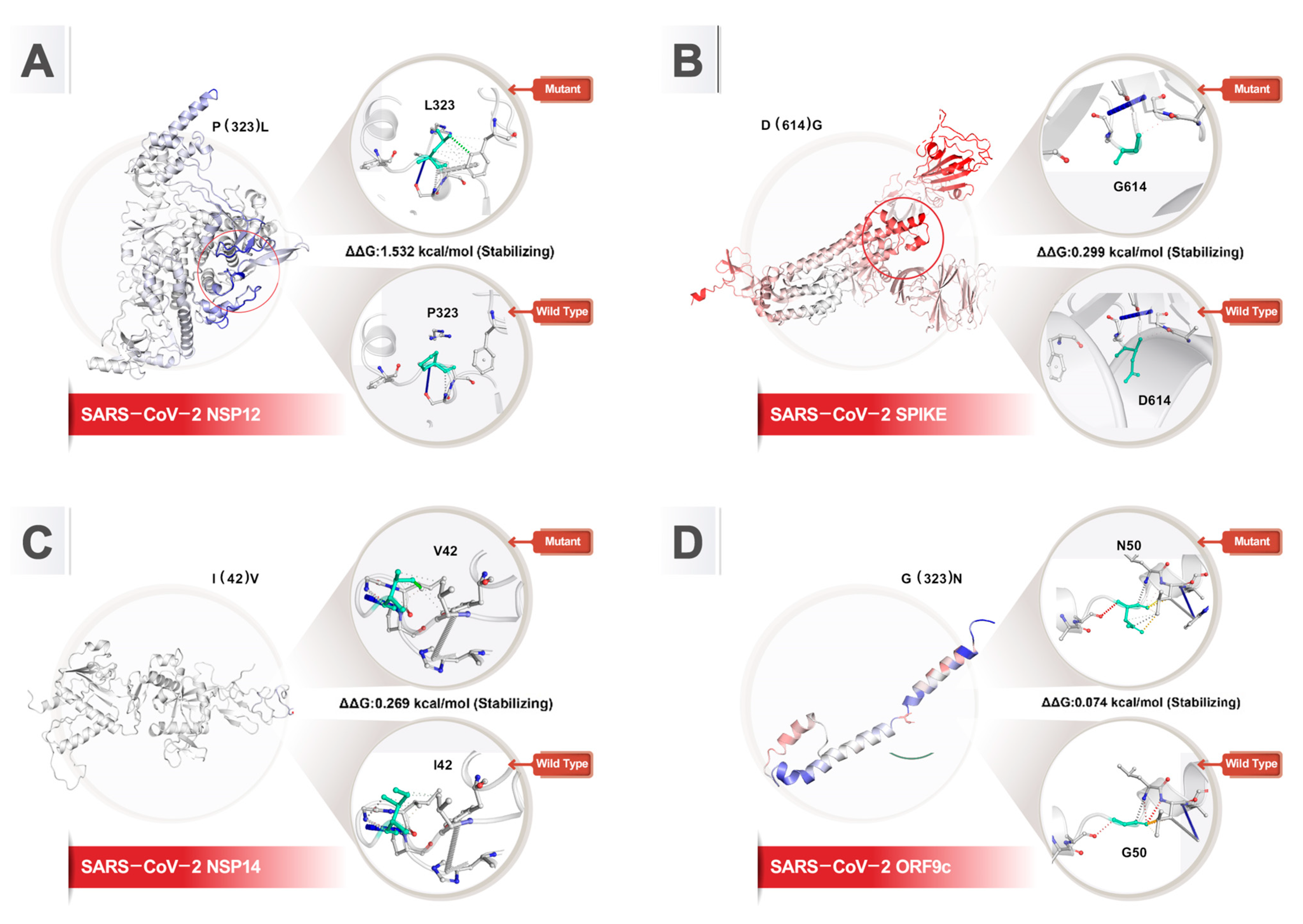 Viruses 16 01331 g006
