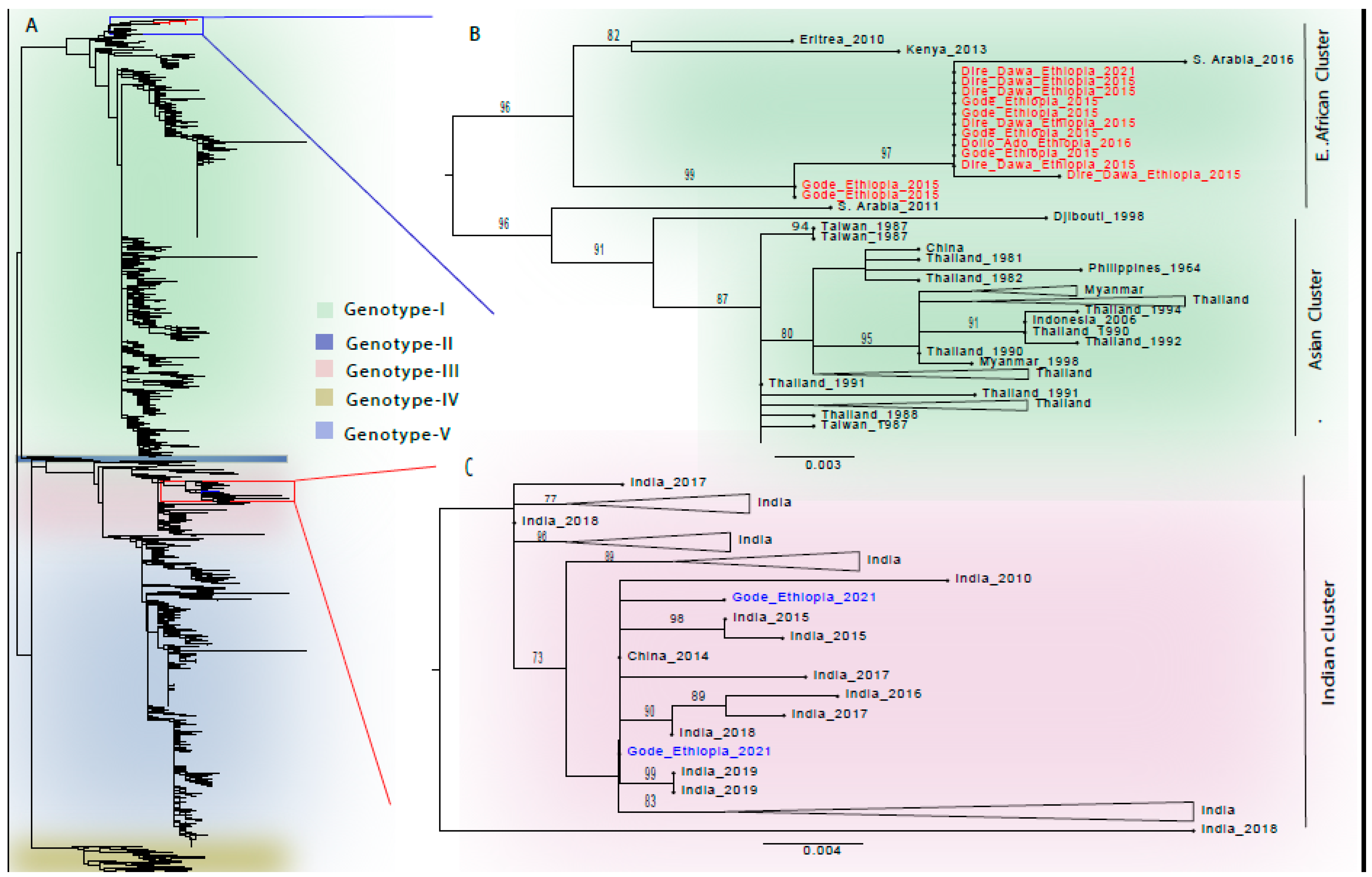 Viruses 16 01334 g004