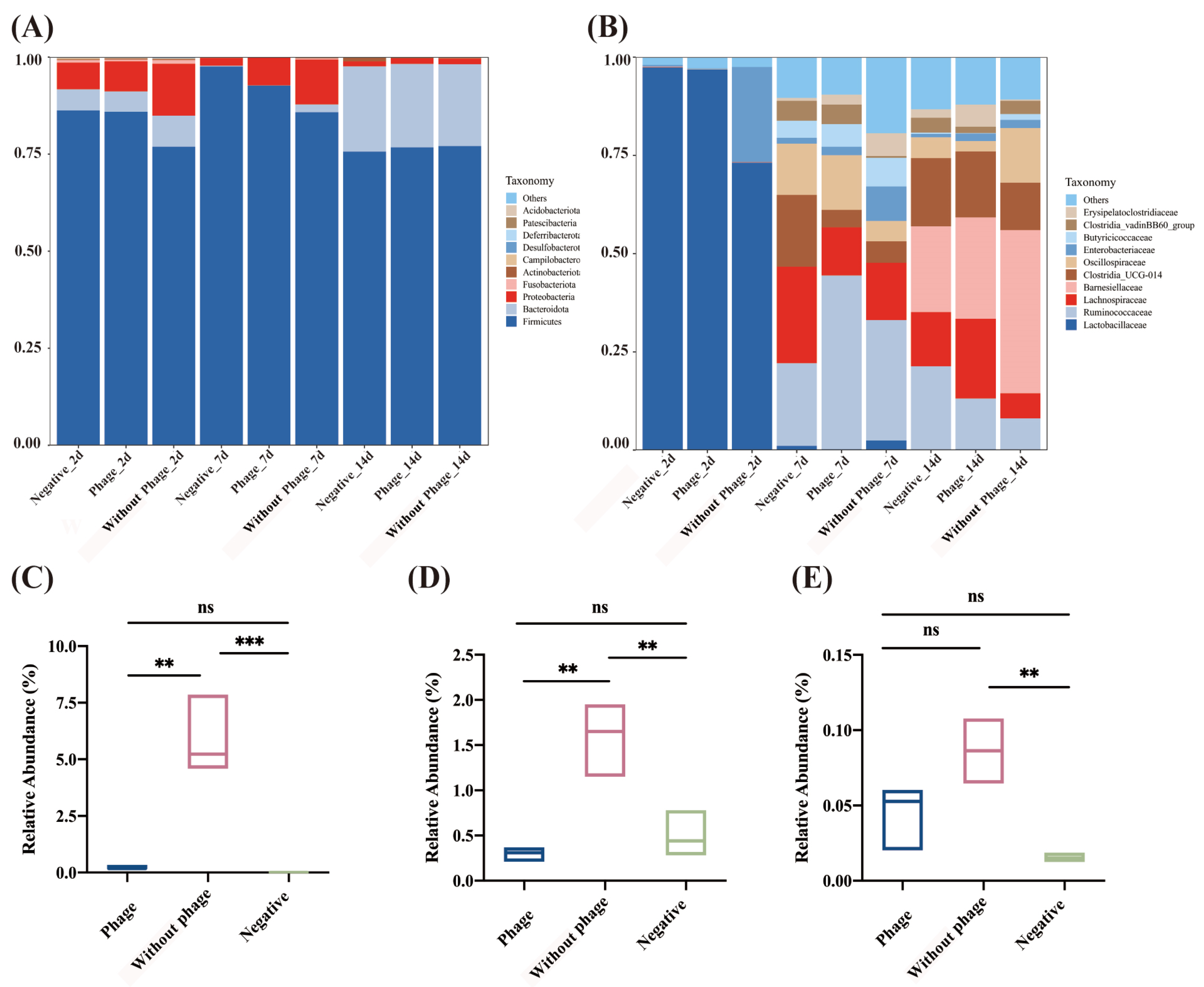 Viruses 16 01338 g005