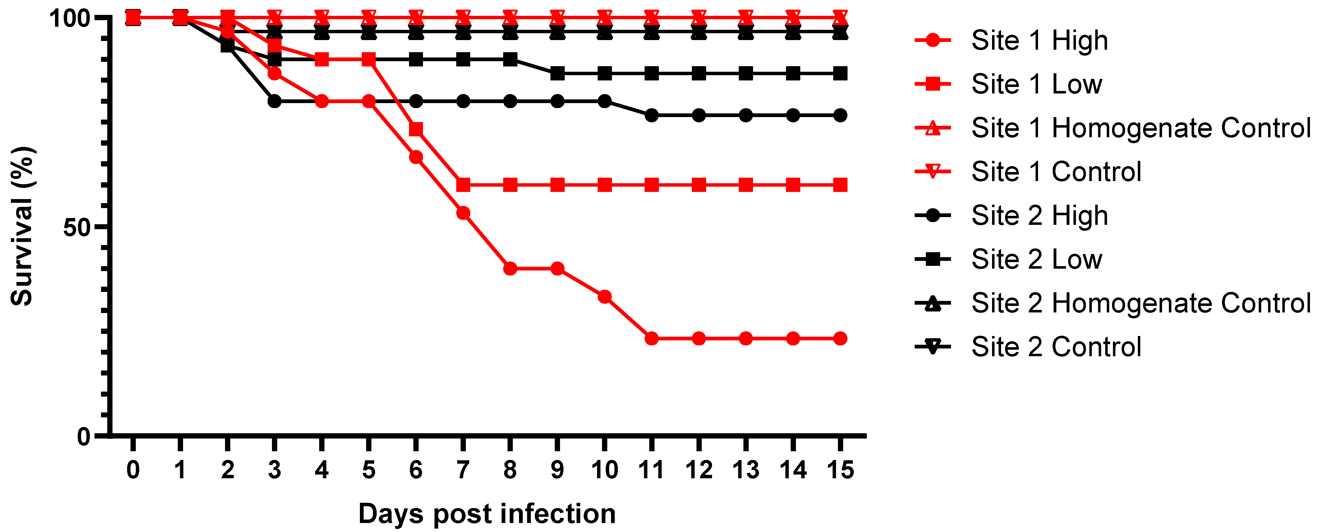 Viruses 16 01343 g003