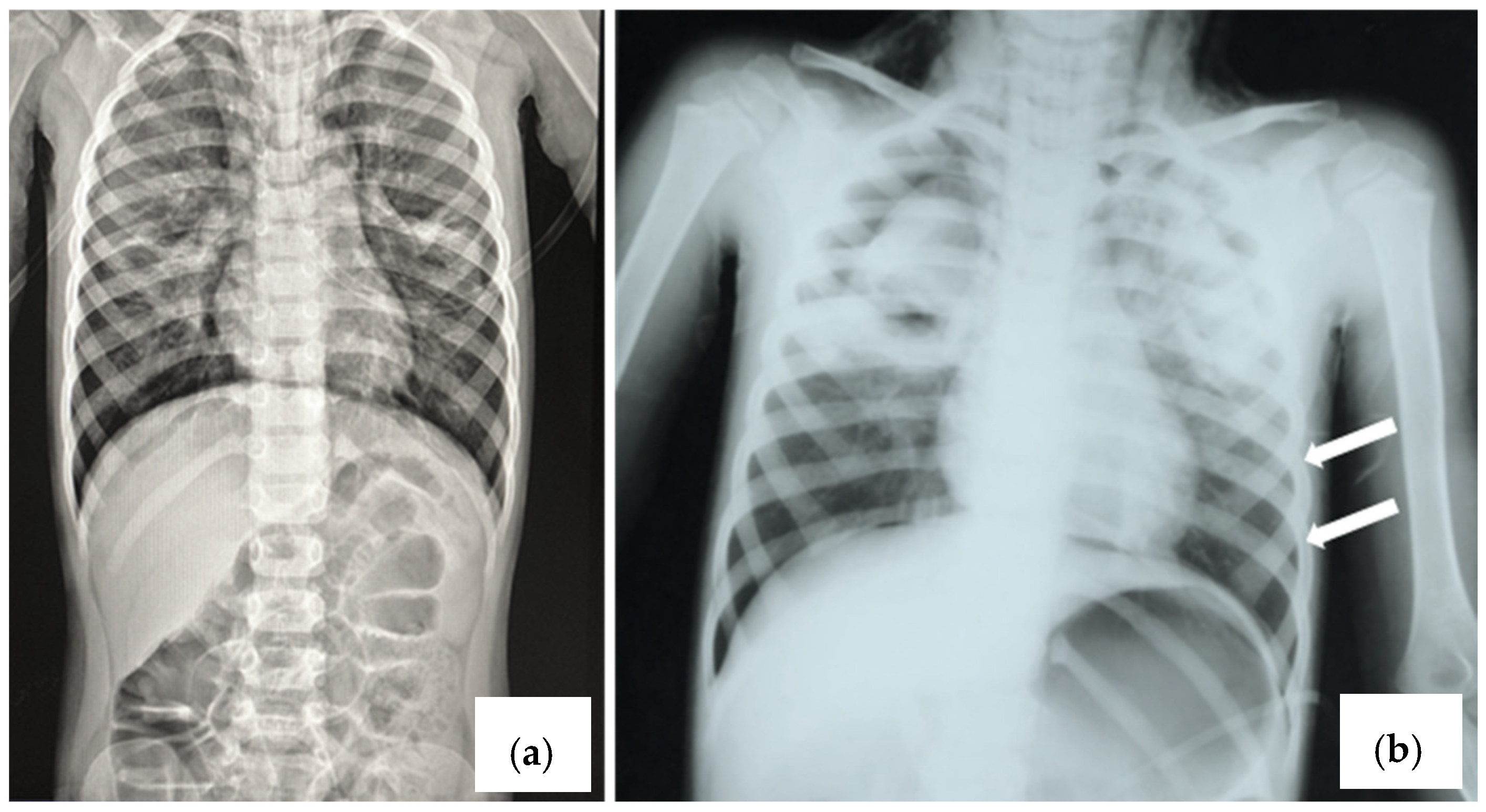 Viruses 16 01347 g001