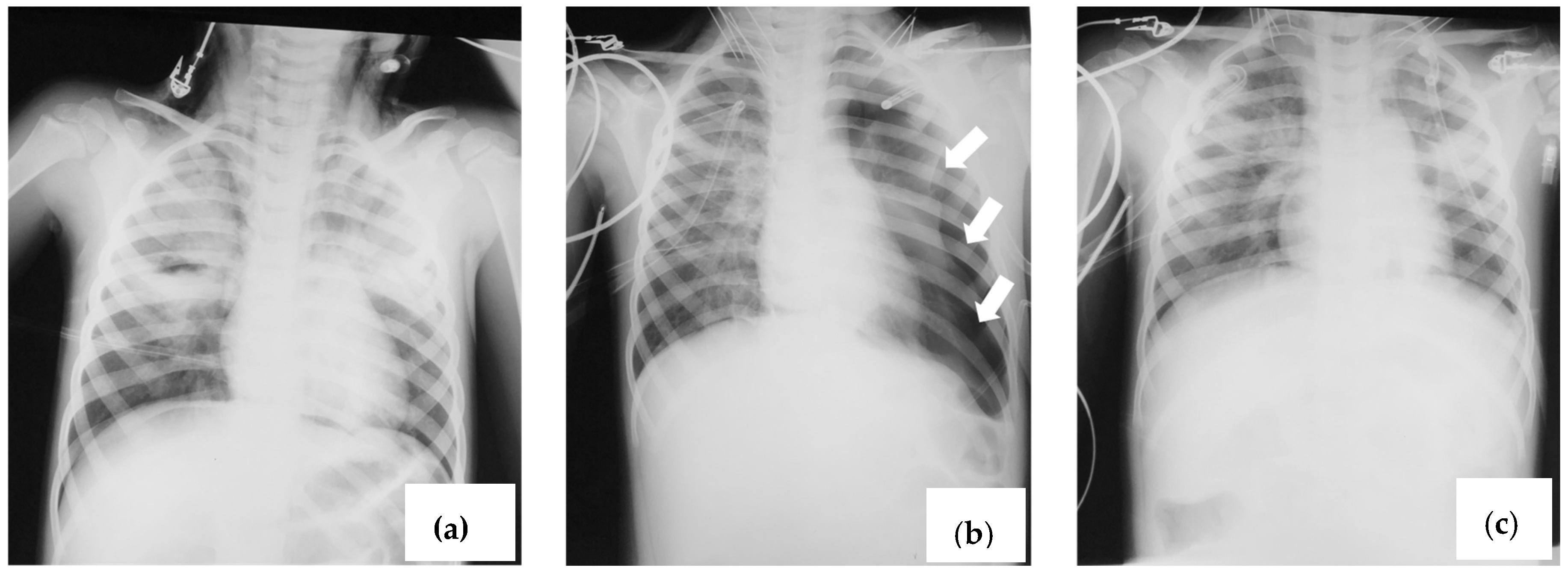 Viruses 16 01347 g002