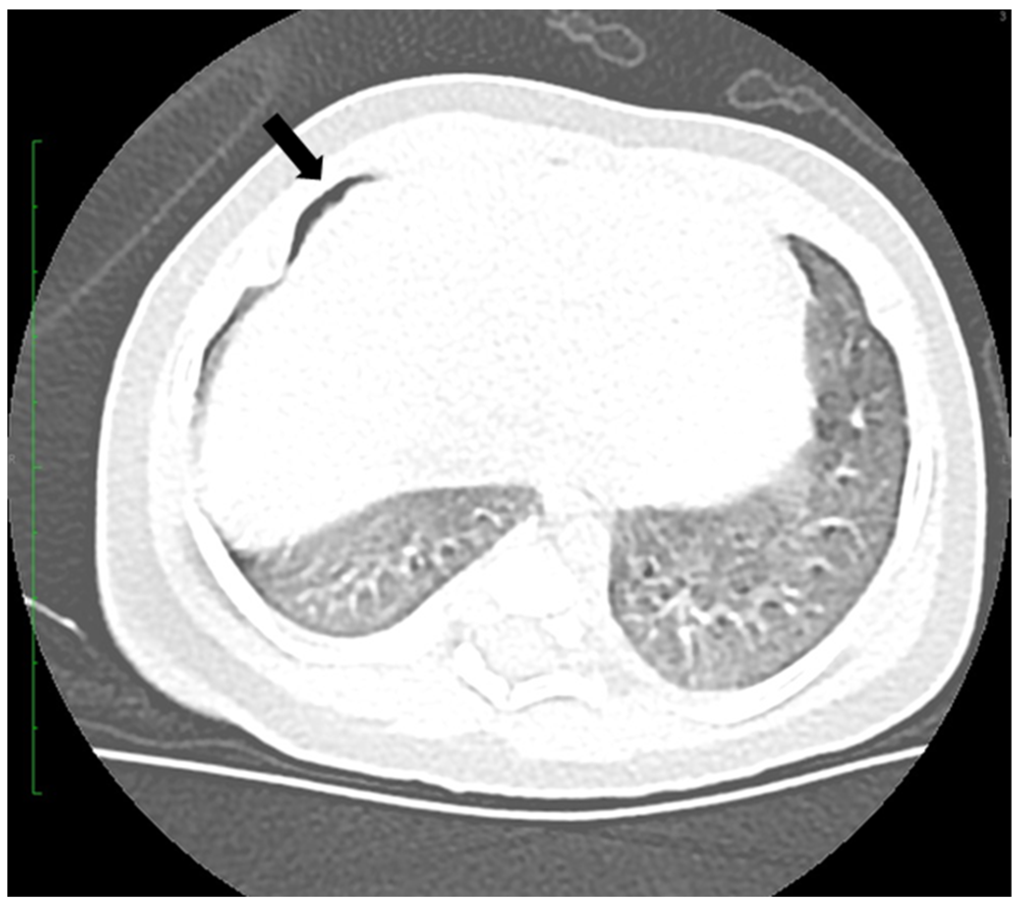 Viruses 16 01347 g004