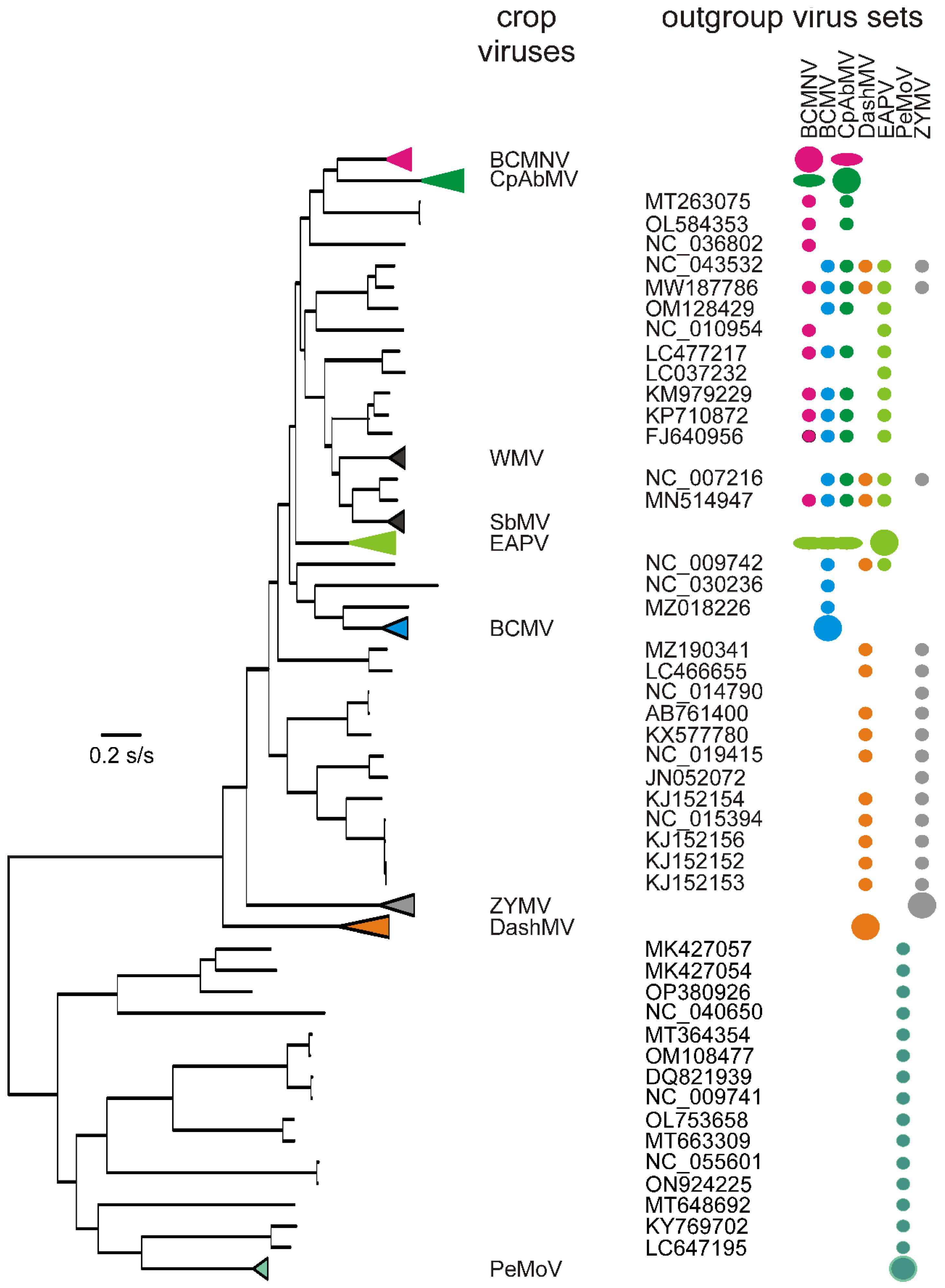 Viruses 16 01351 g003