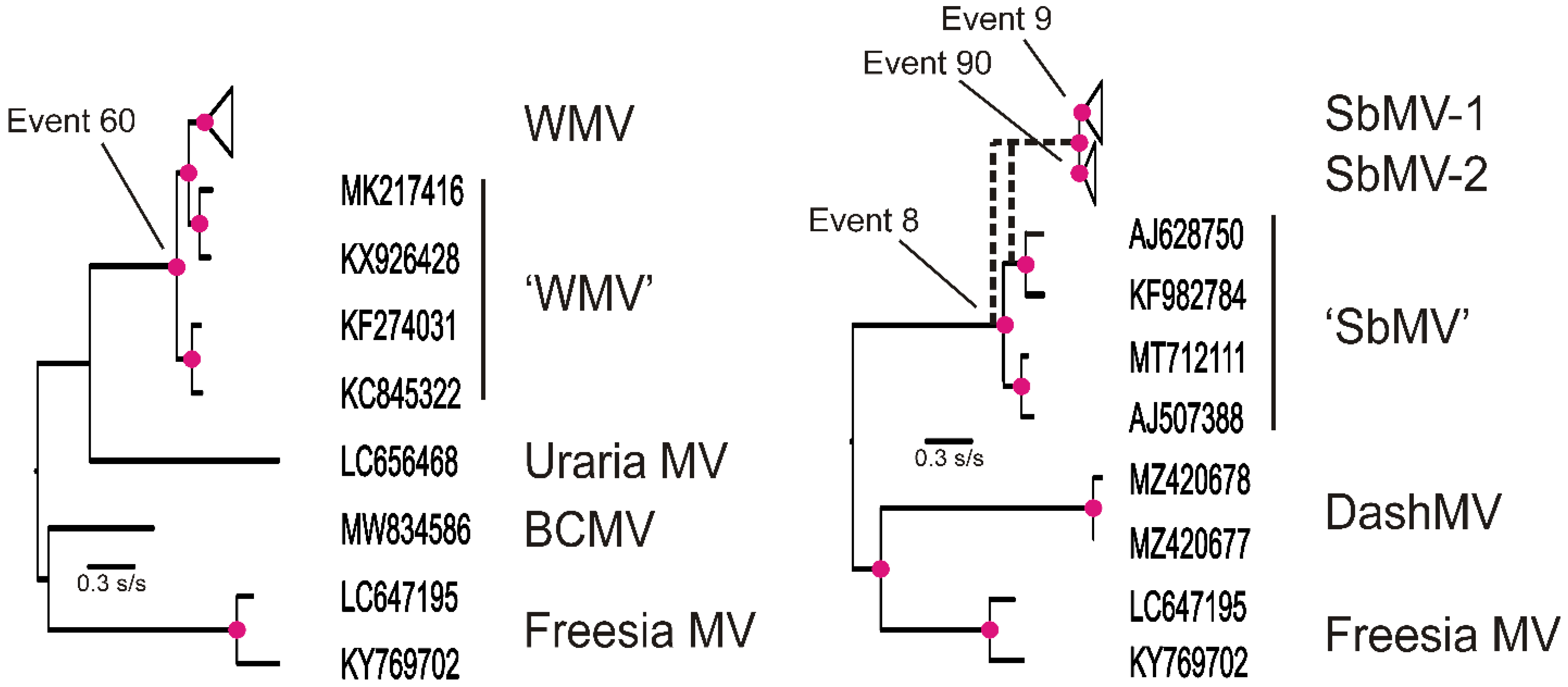 Viruses 16 01351 g004