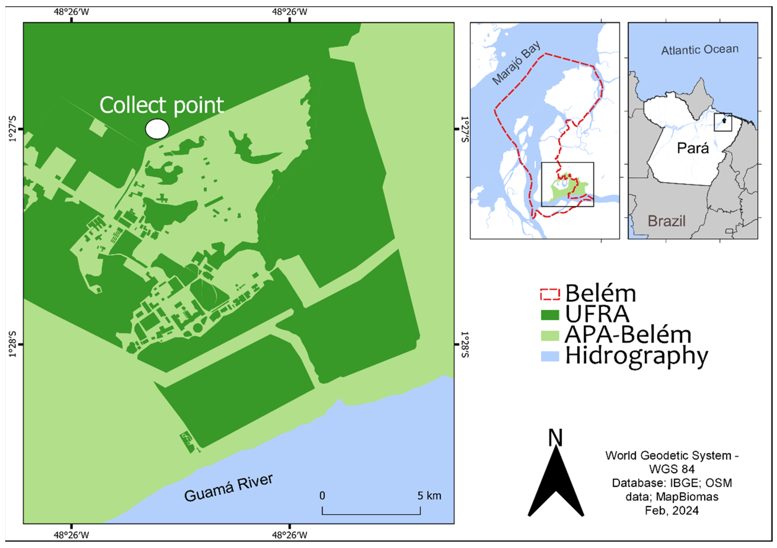 Viruses 16 01355 g001 Viruses 16 01355 g001