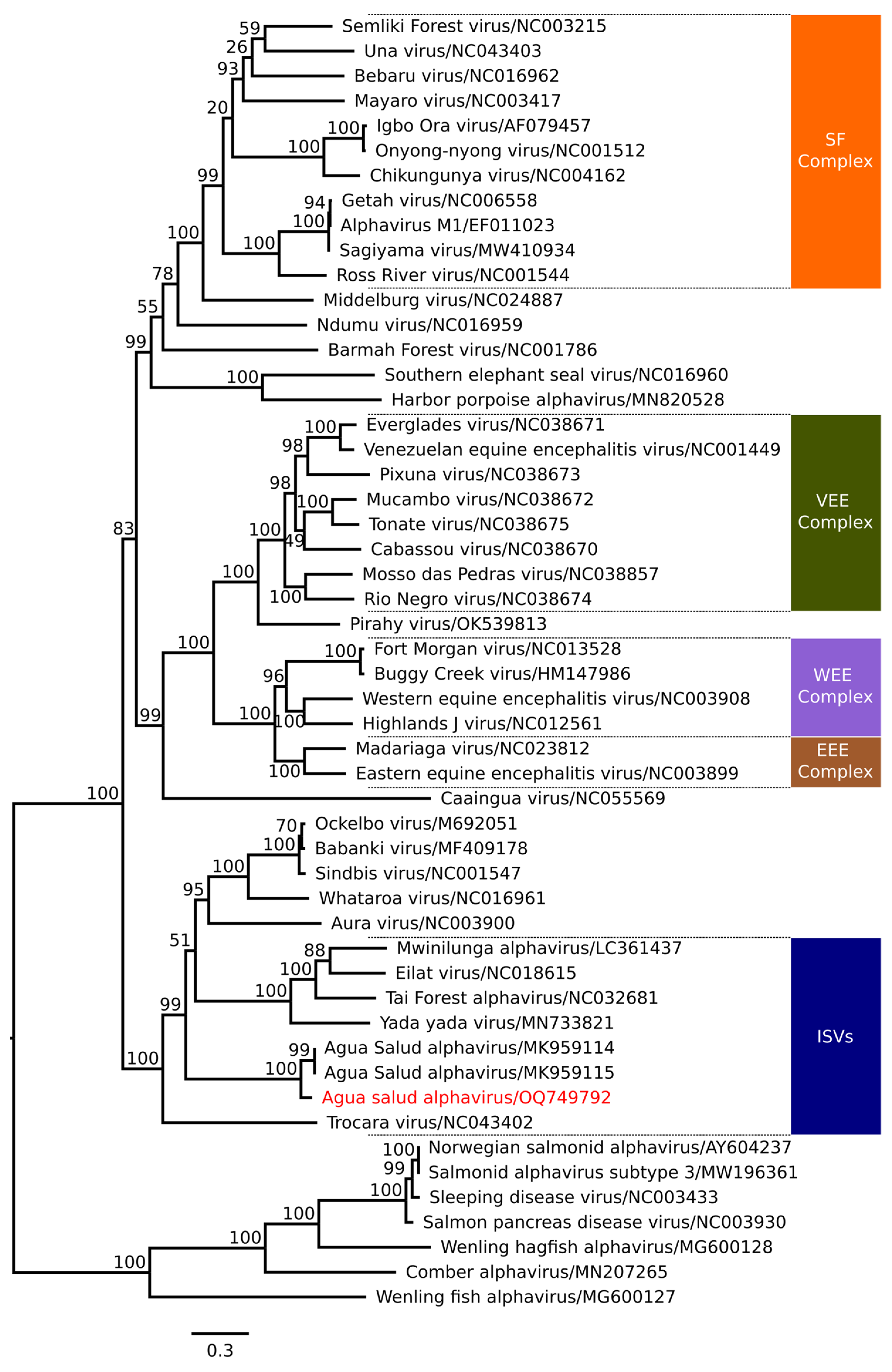 Viruses 16 01355 g003 Viruses 16 01355 g003
