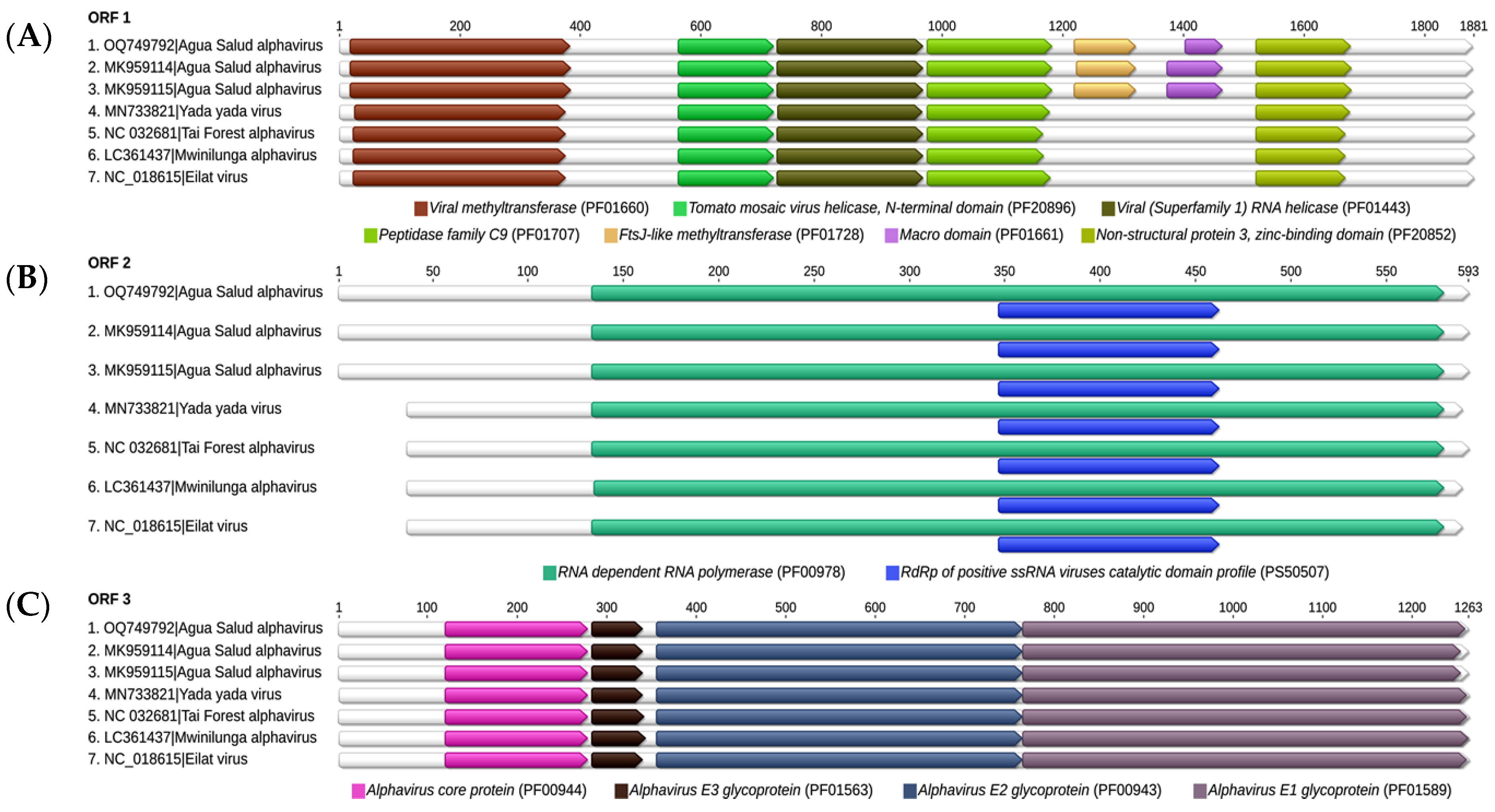 Viruses 16 01355 g004 Viruses 16 01355 g004