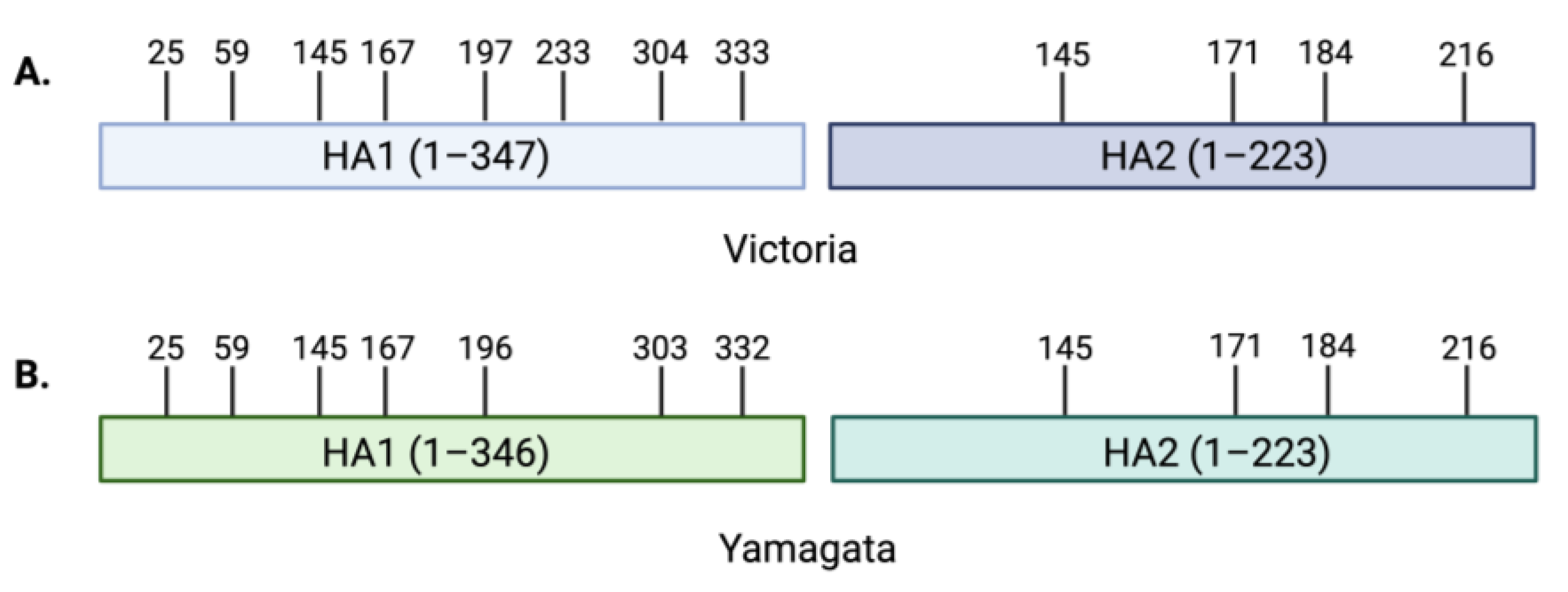 Viruses 16 01356 g003