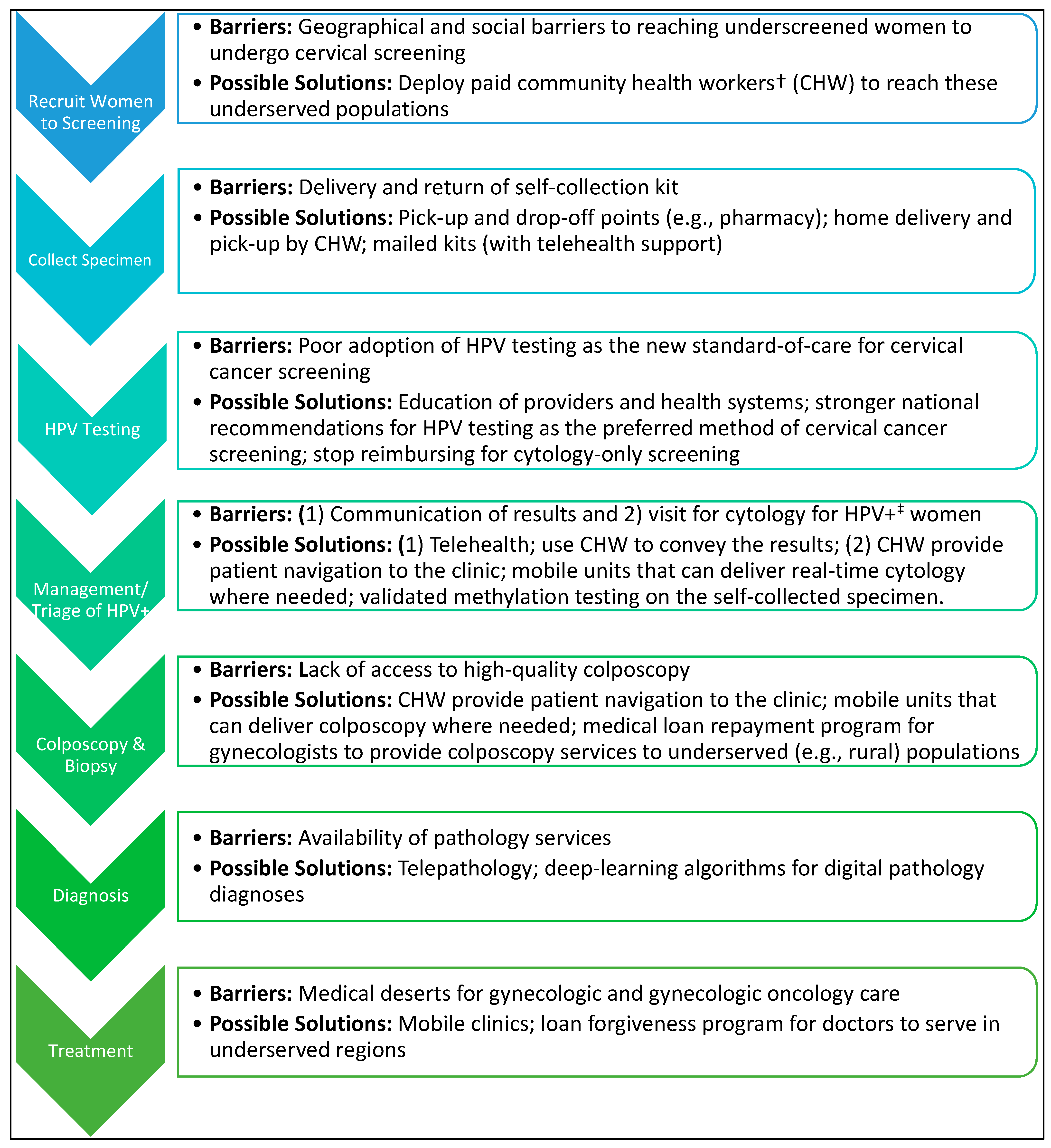 Viruses 16 01357 g002 Viruses 16 01357 g002