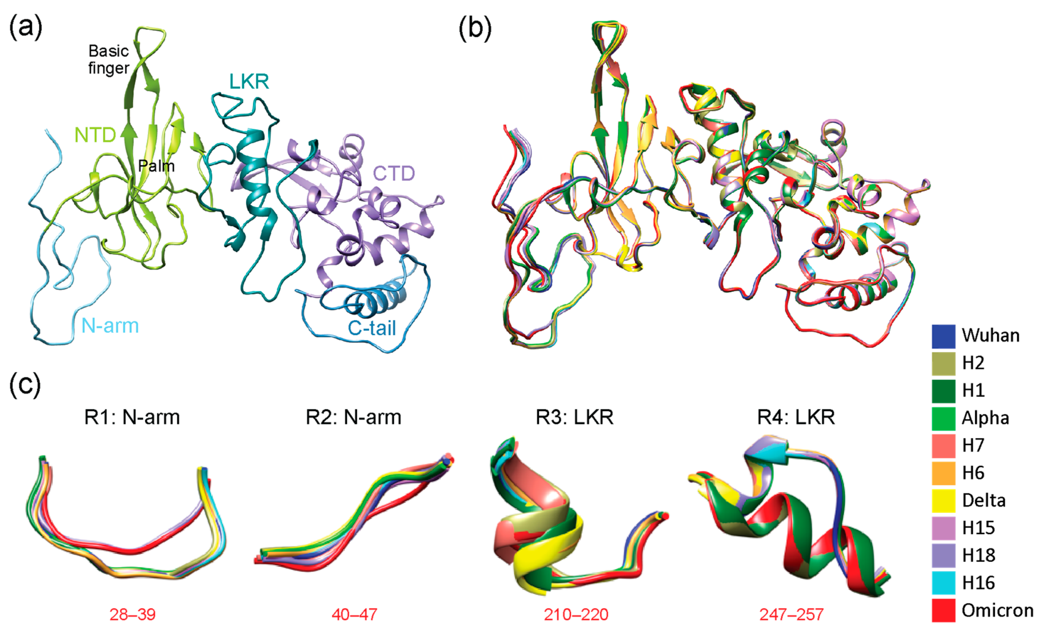 Viruses 16 01358 g002