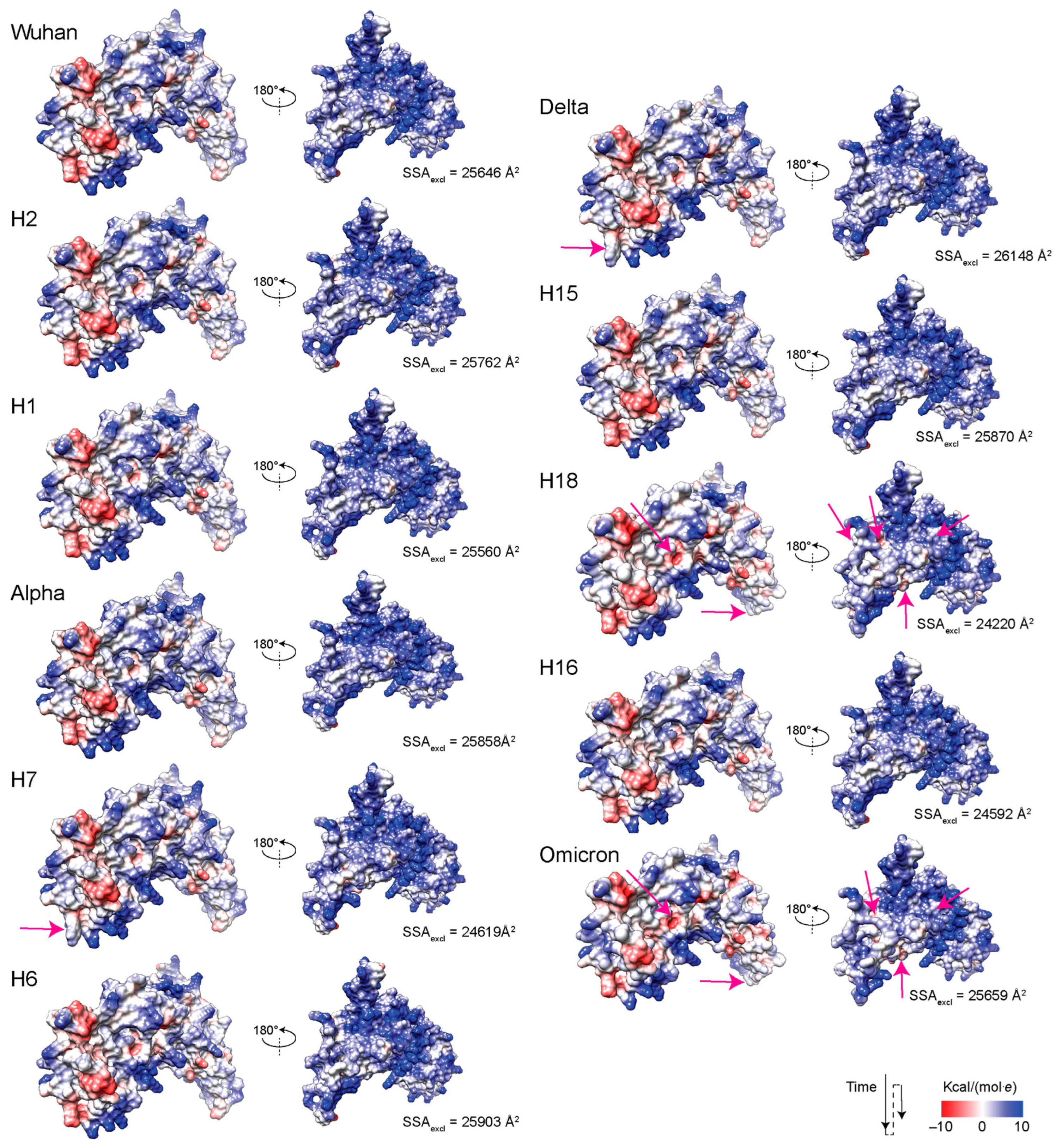 Viruses 16 01358 g008