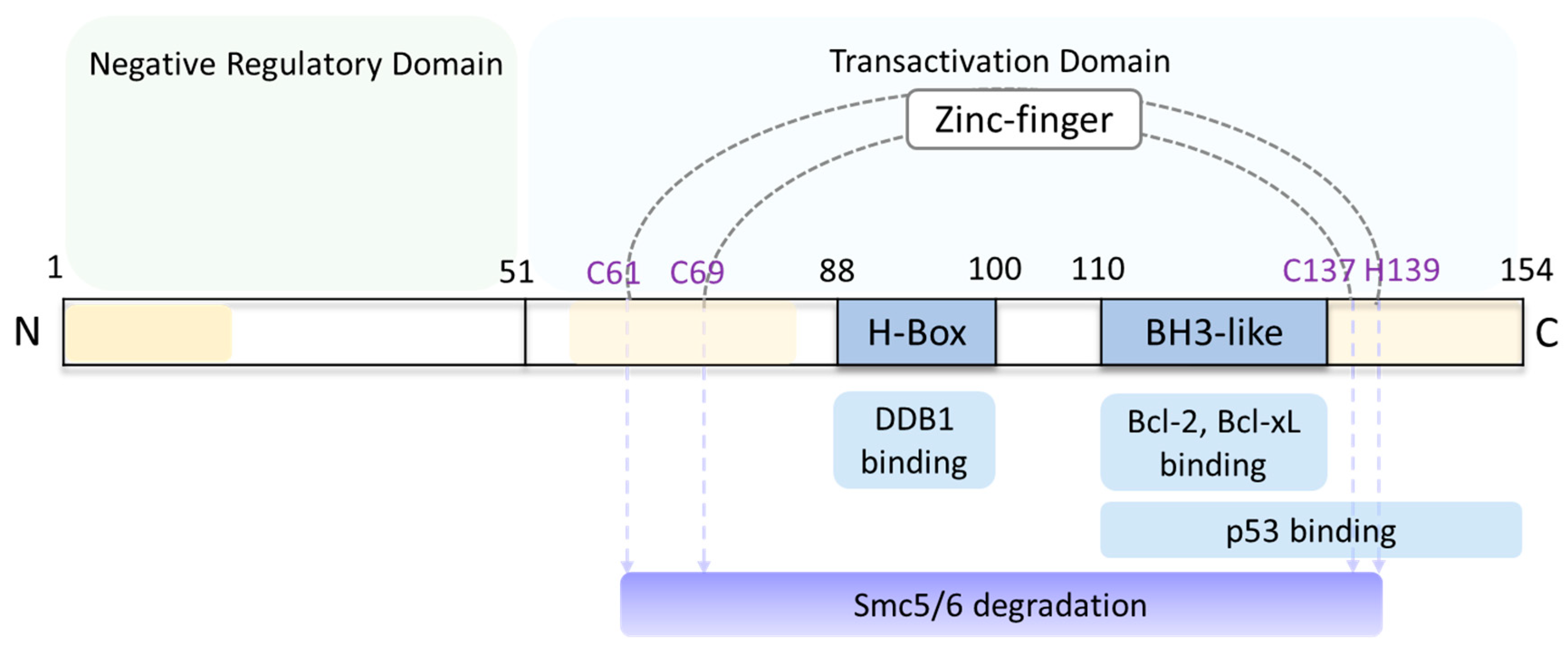 Viruses 16 01361 g003