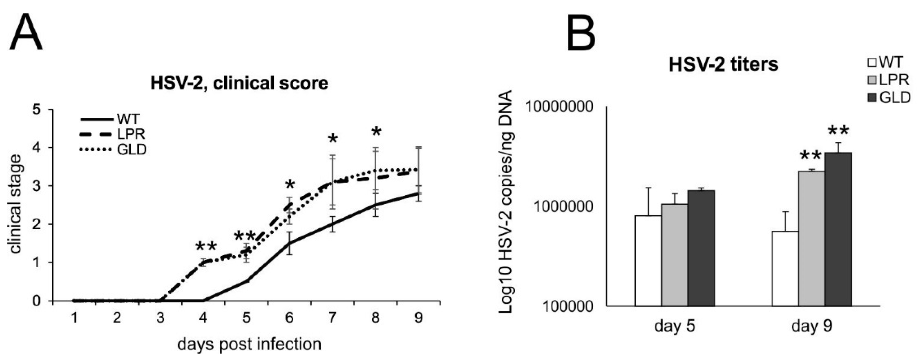 Viruses 16 01363 g002