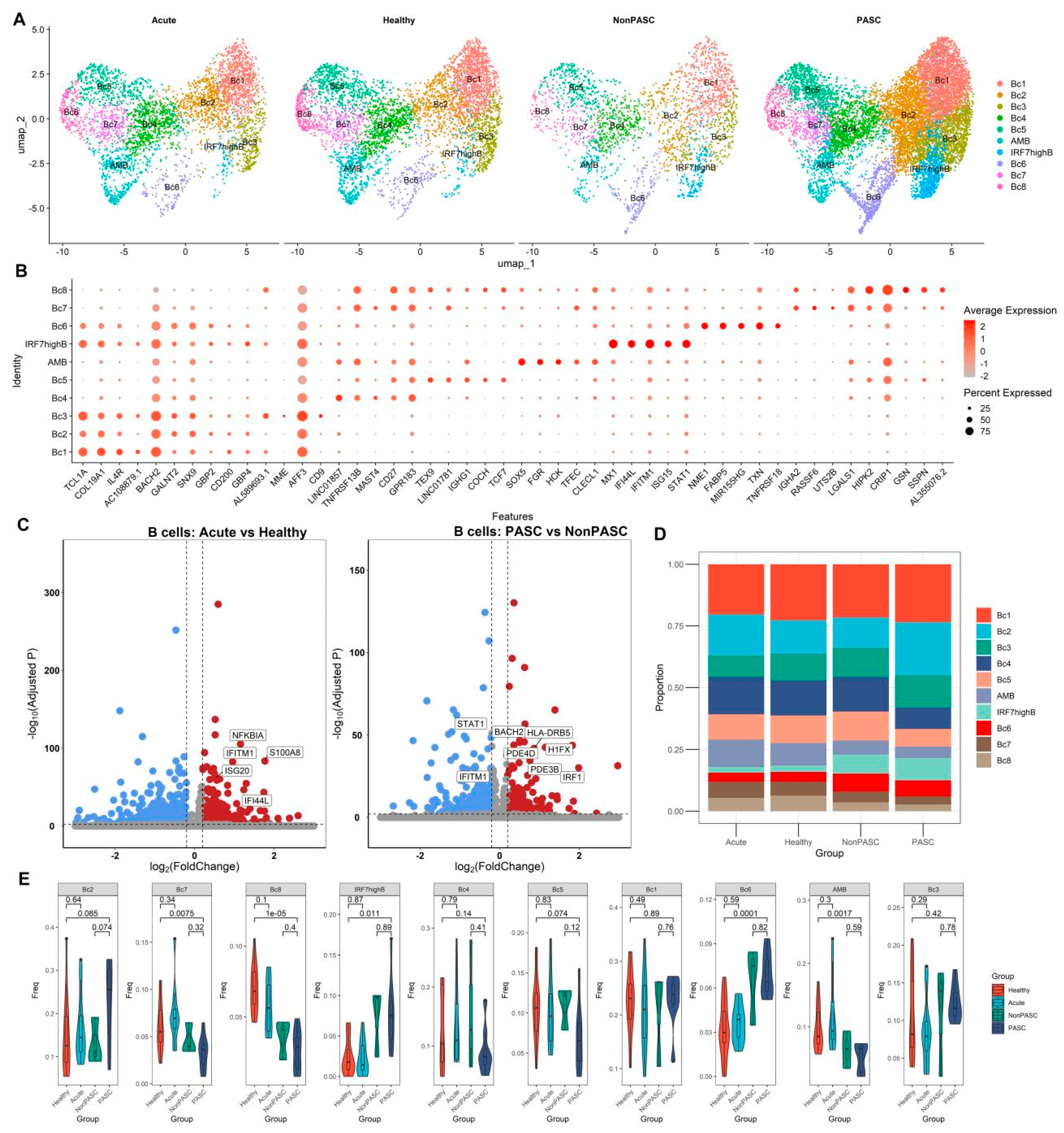Viruses 16 01369 g005