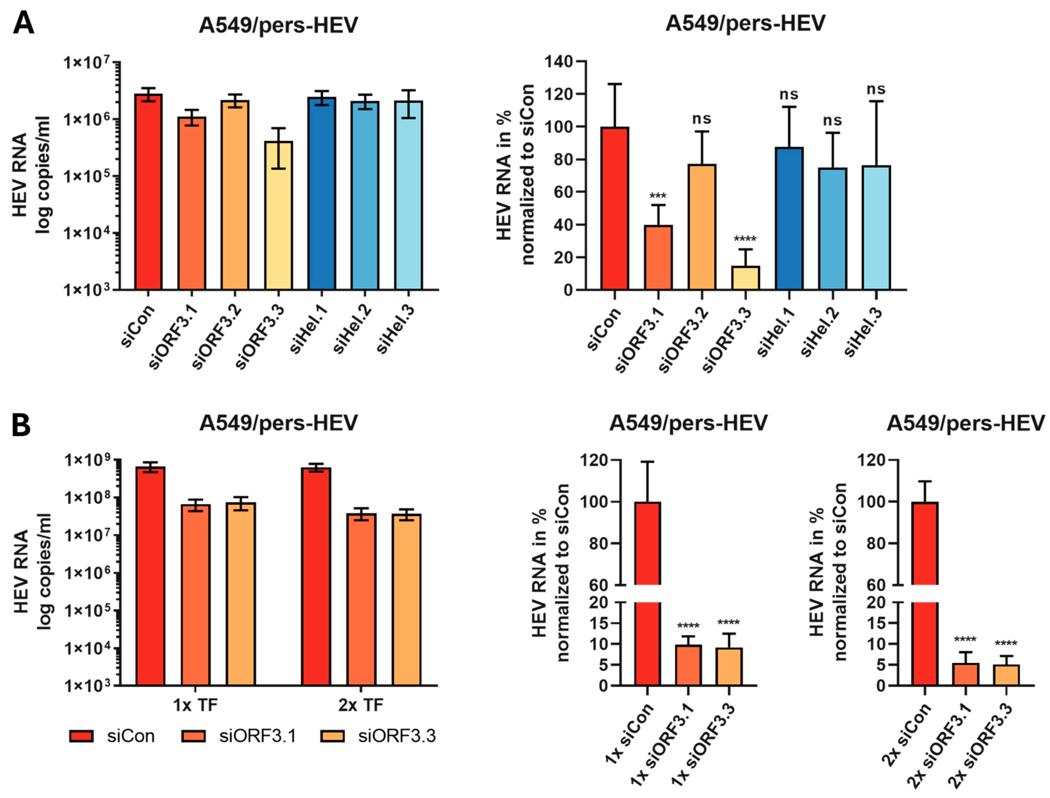 Viruses 16 01378 g003