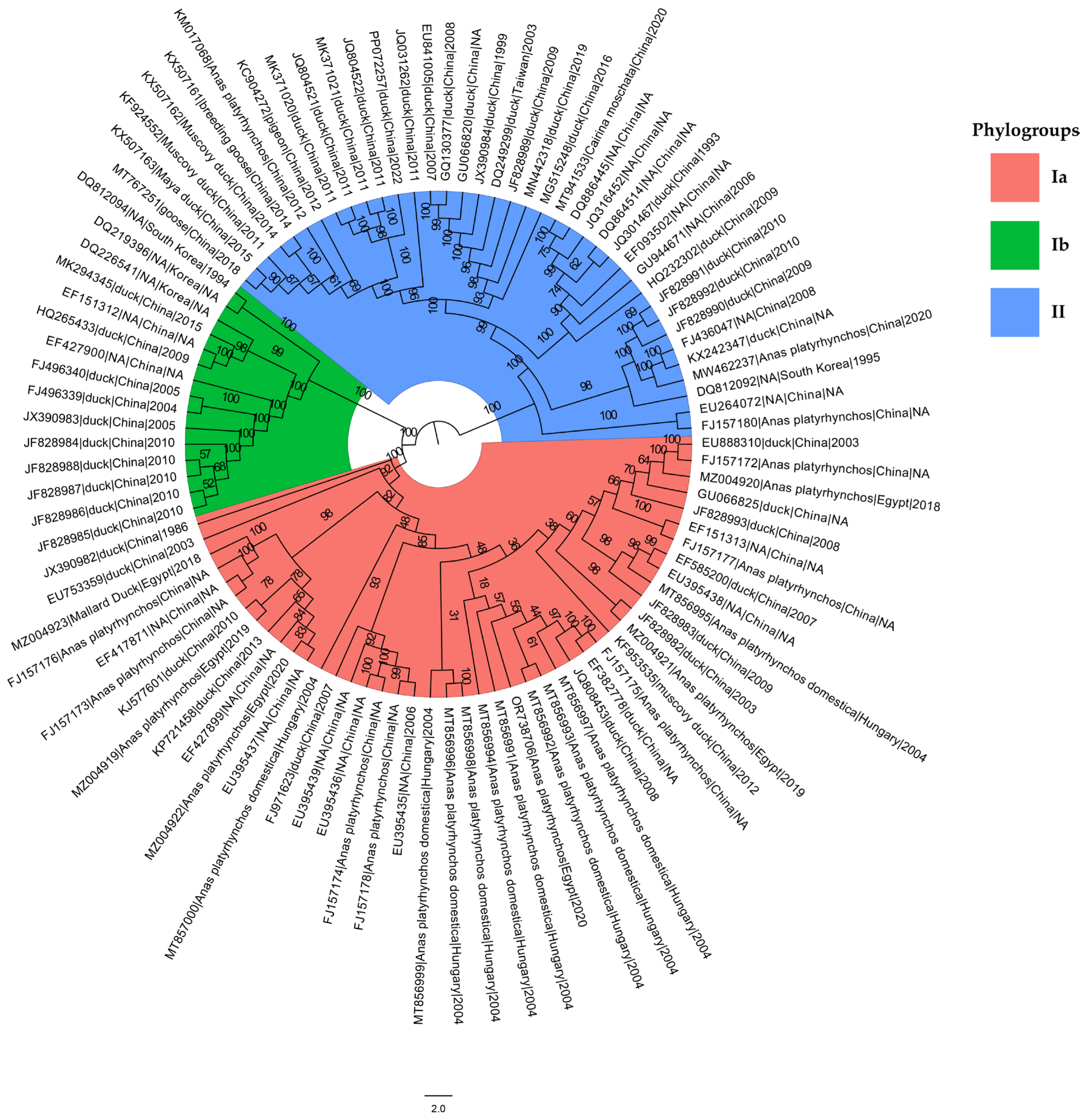Viruses 16 01380 g001 Viruses 16 01380 g001
