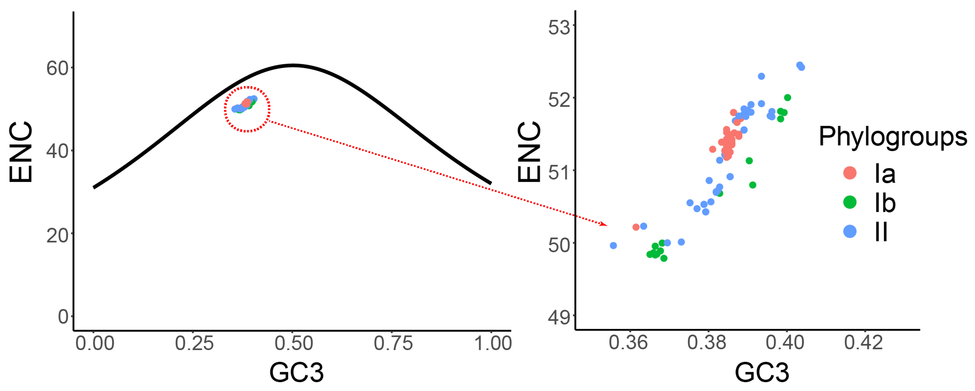 Viruses 16 01380 g005 Viruses 16 01380 g005