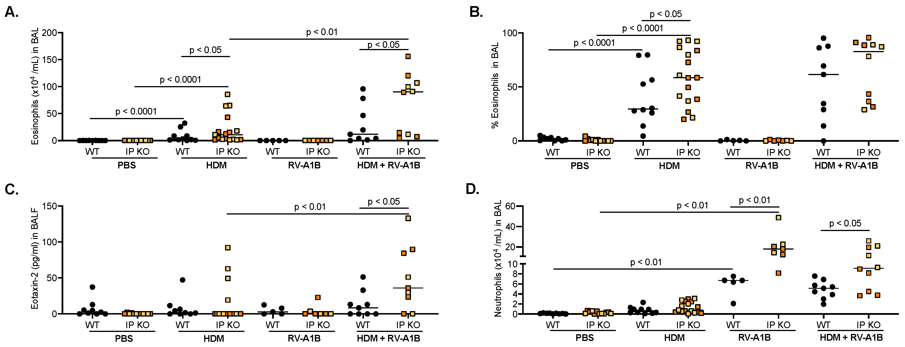 Viruses 16 01384 g001 Viruses 16 01384 g001