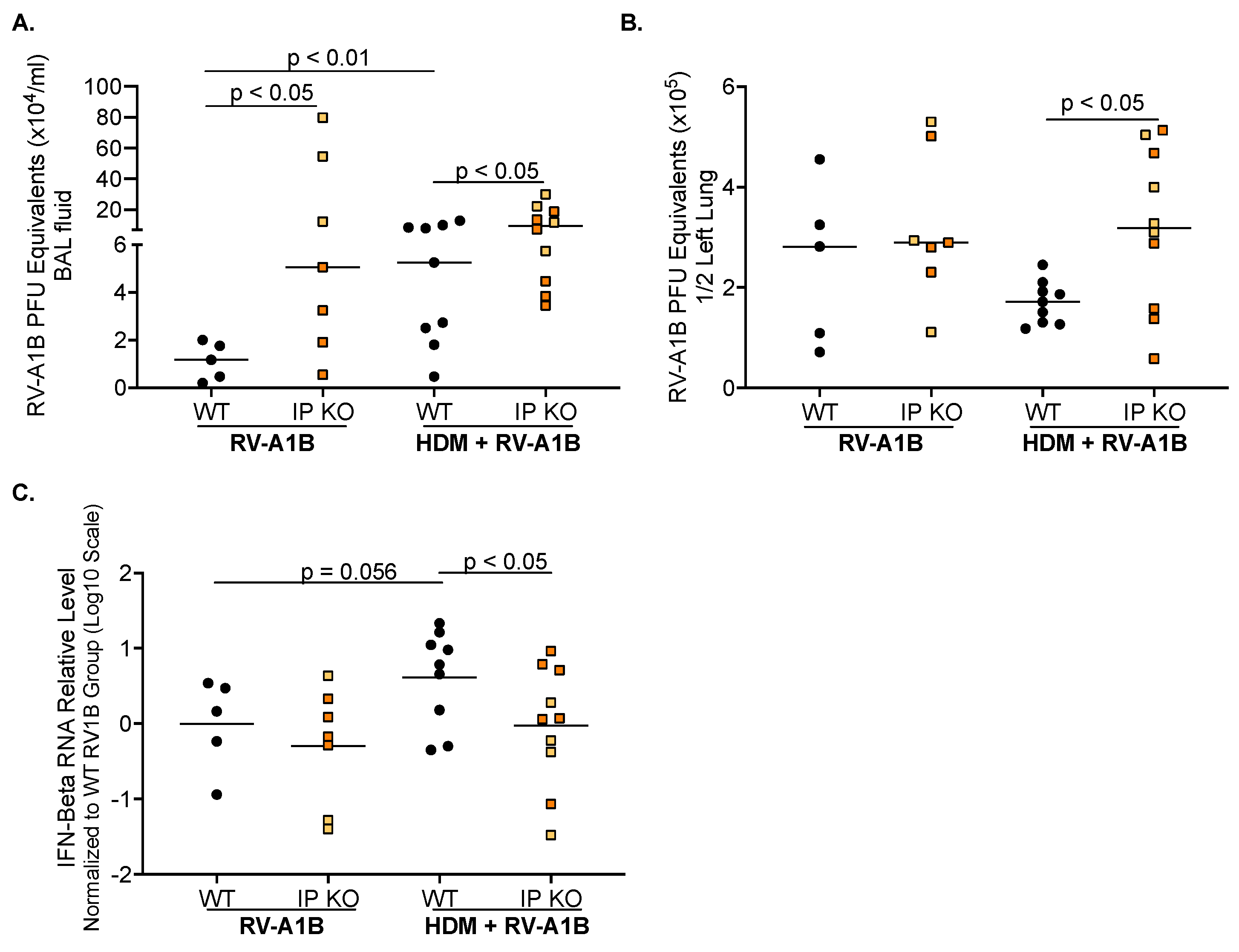 Viruses 16 01384 g002 Viruses 16 01384 g002