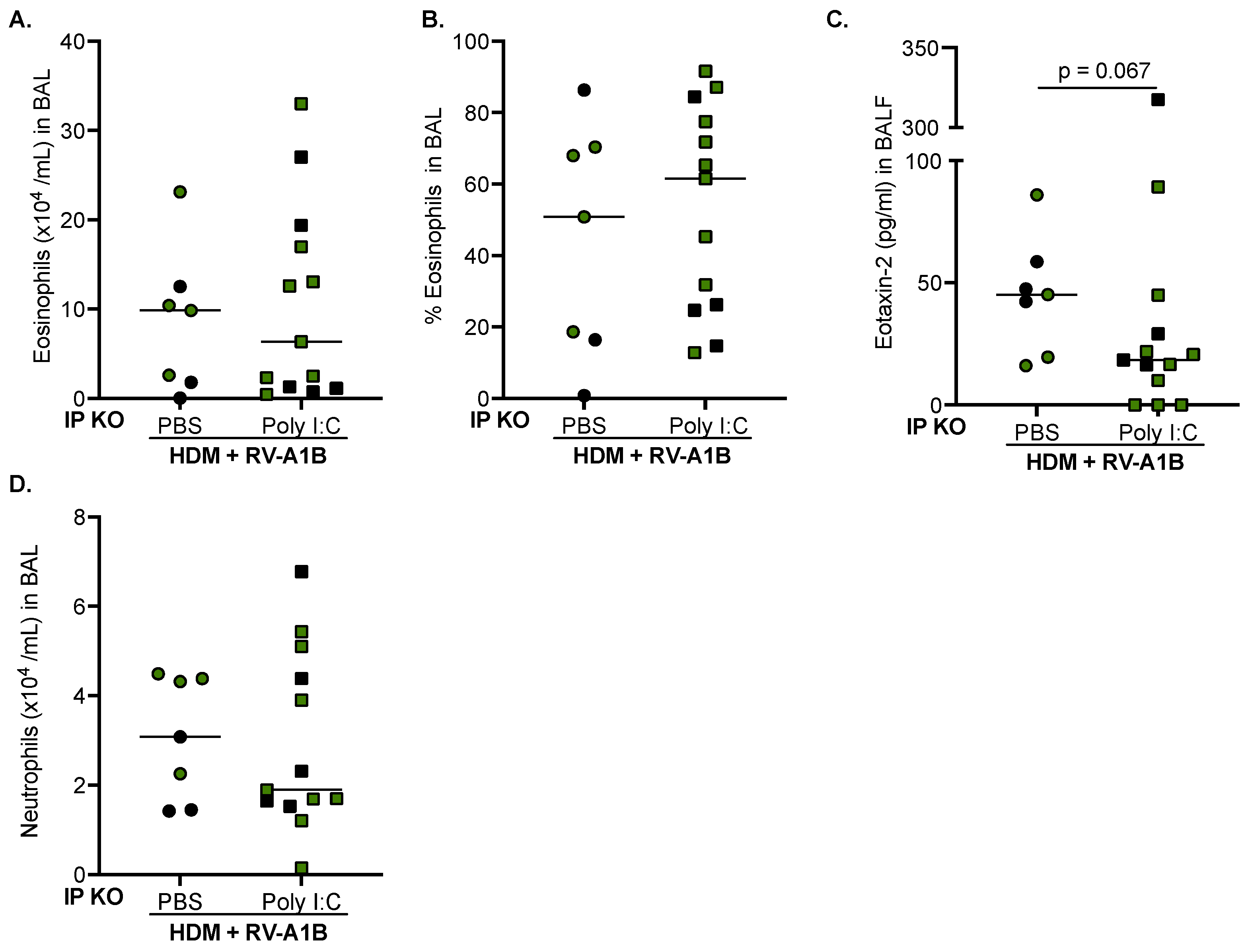 Viruses 16 01384 g004 Viruses 16 01384 g004