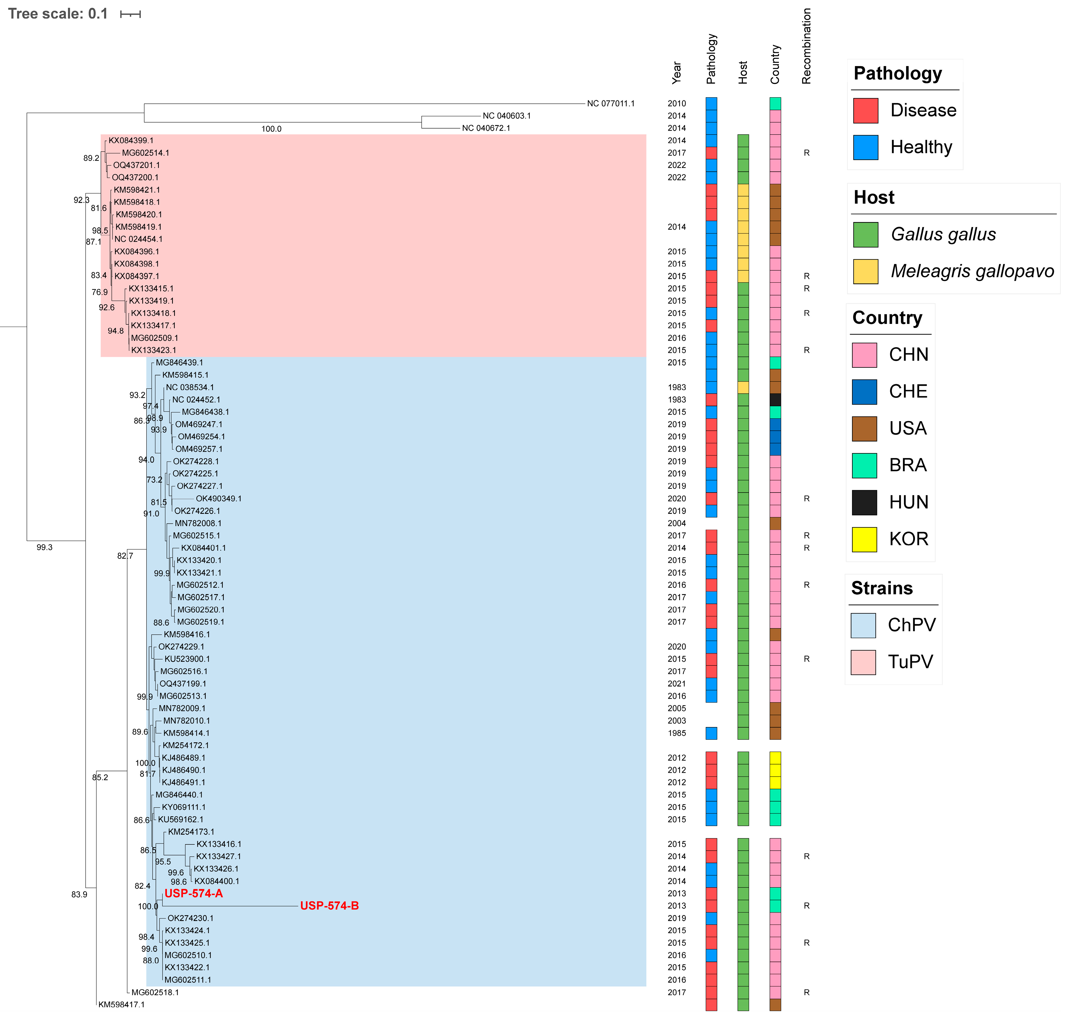 Viruses 16 01389 g002