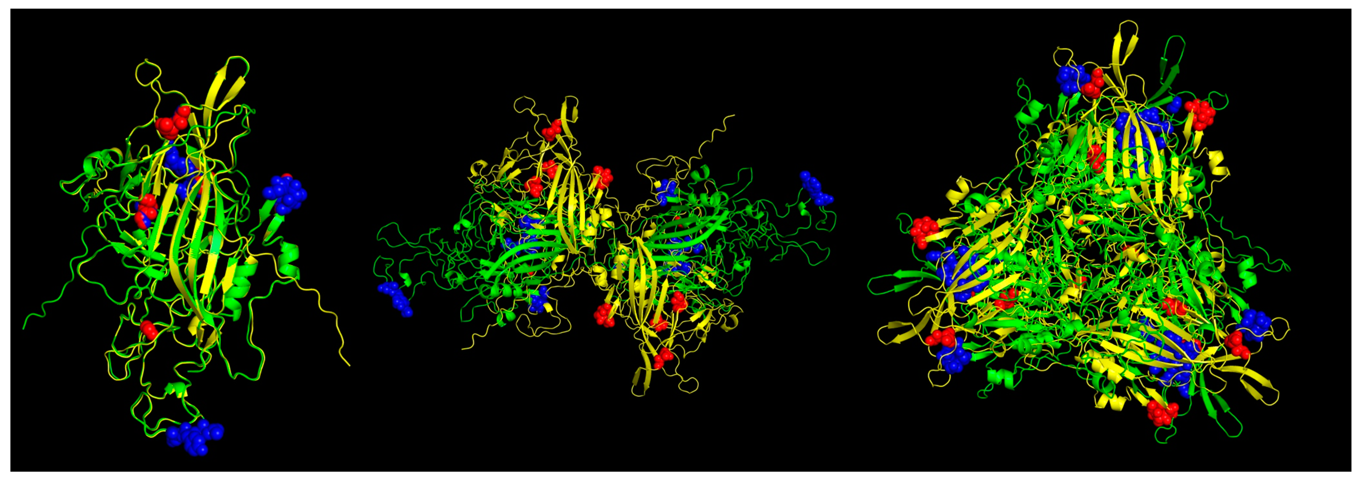 Viruses 16 01389 g006