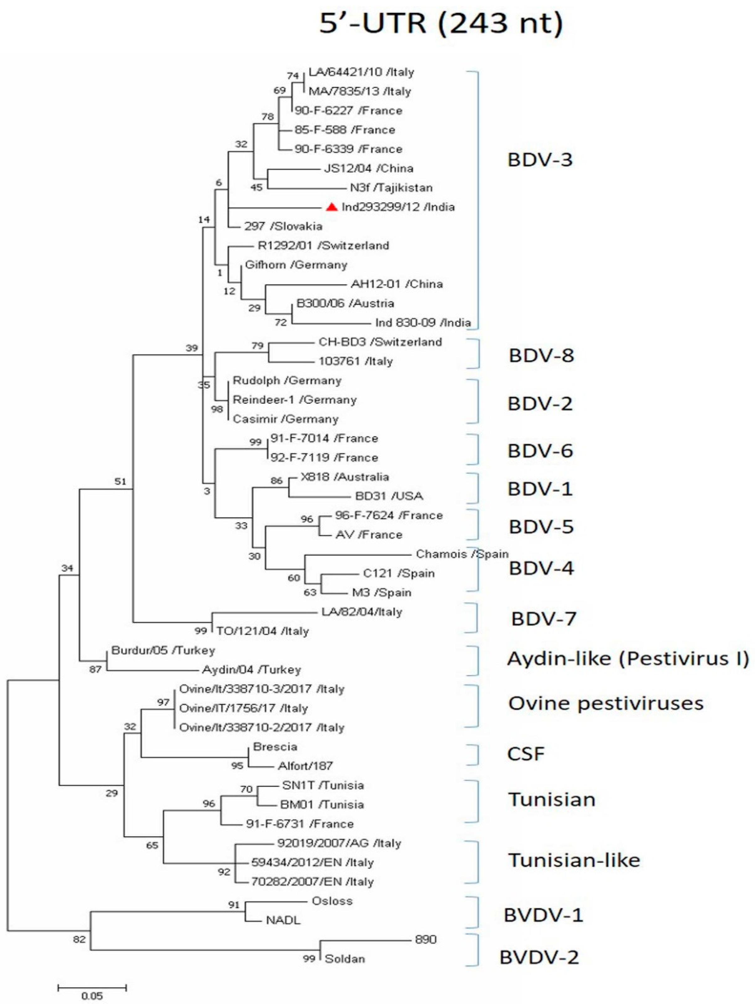 Viruses 16 01390 g001
