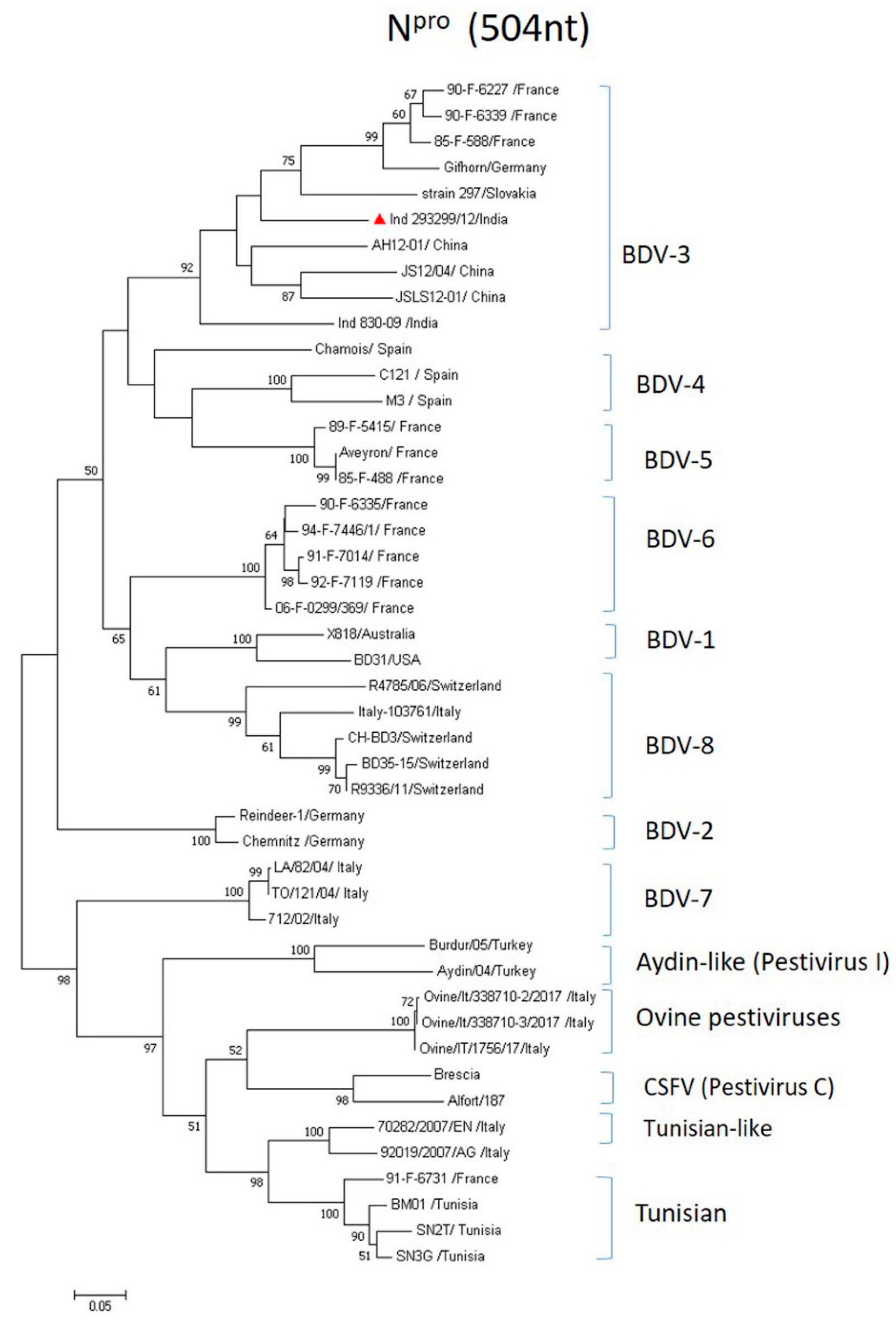 Viruses 16 01390 g002