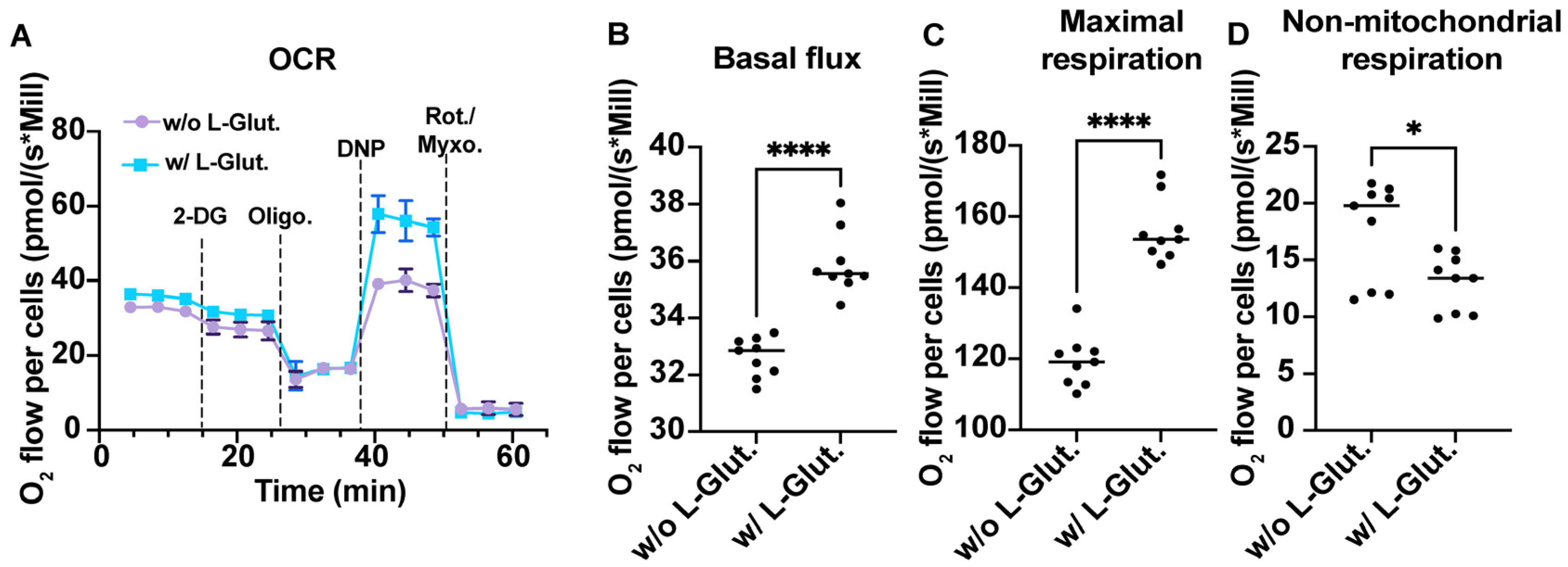 Viruses 16 01391 g001