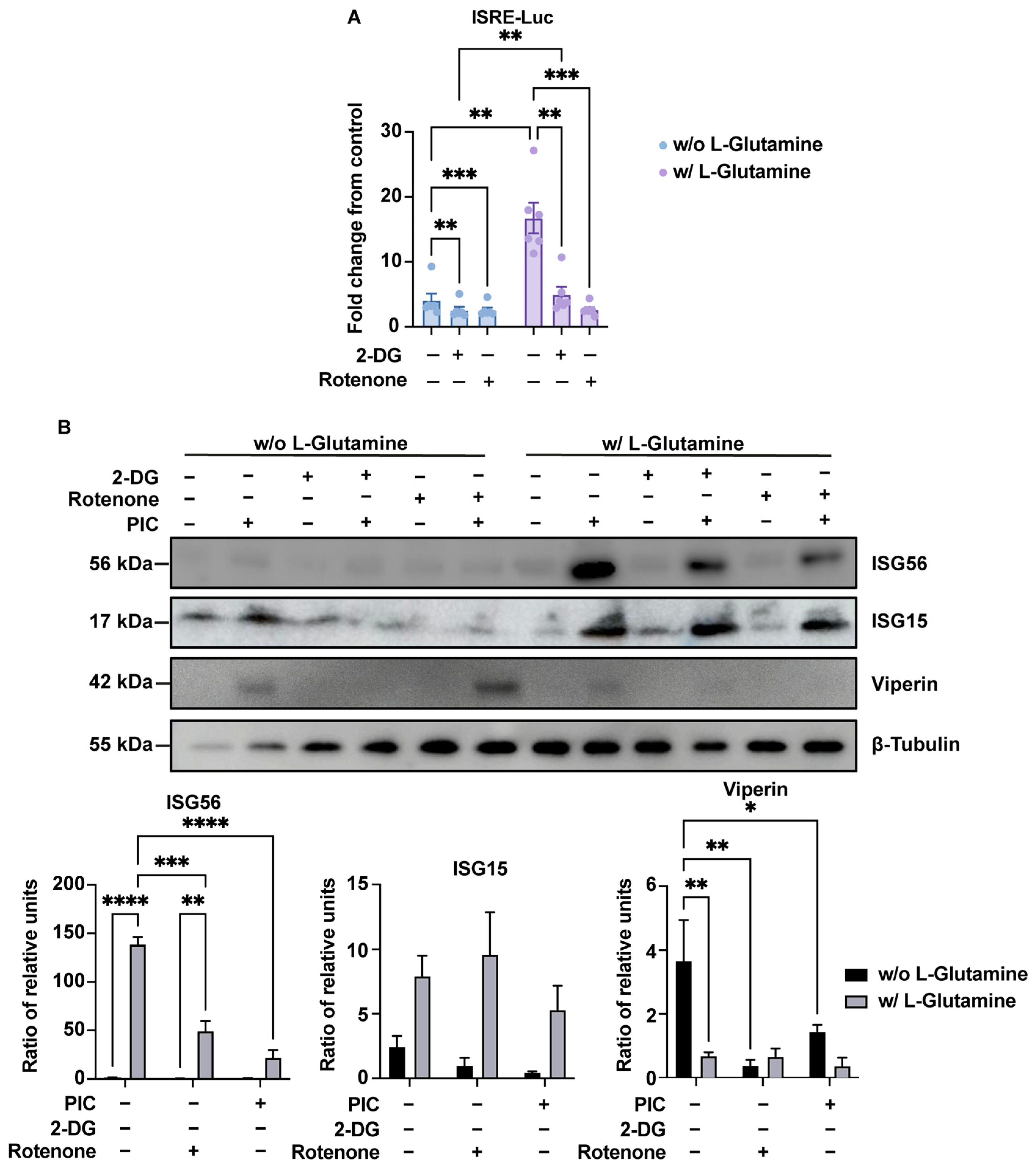 Viruses 16 01391 g005