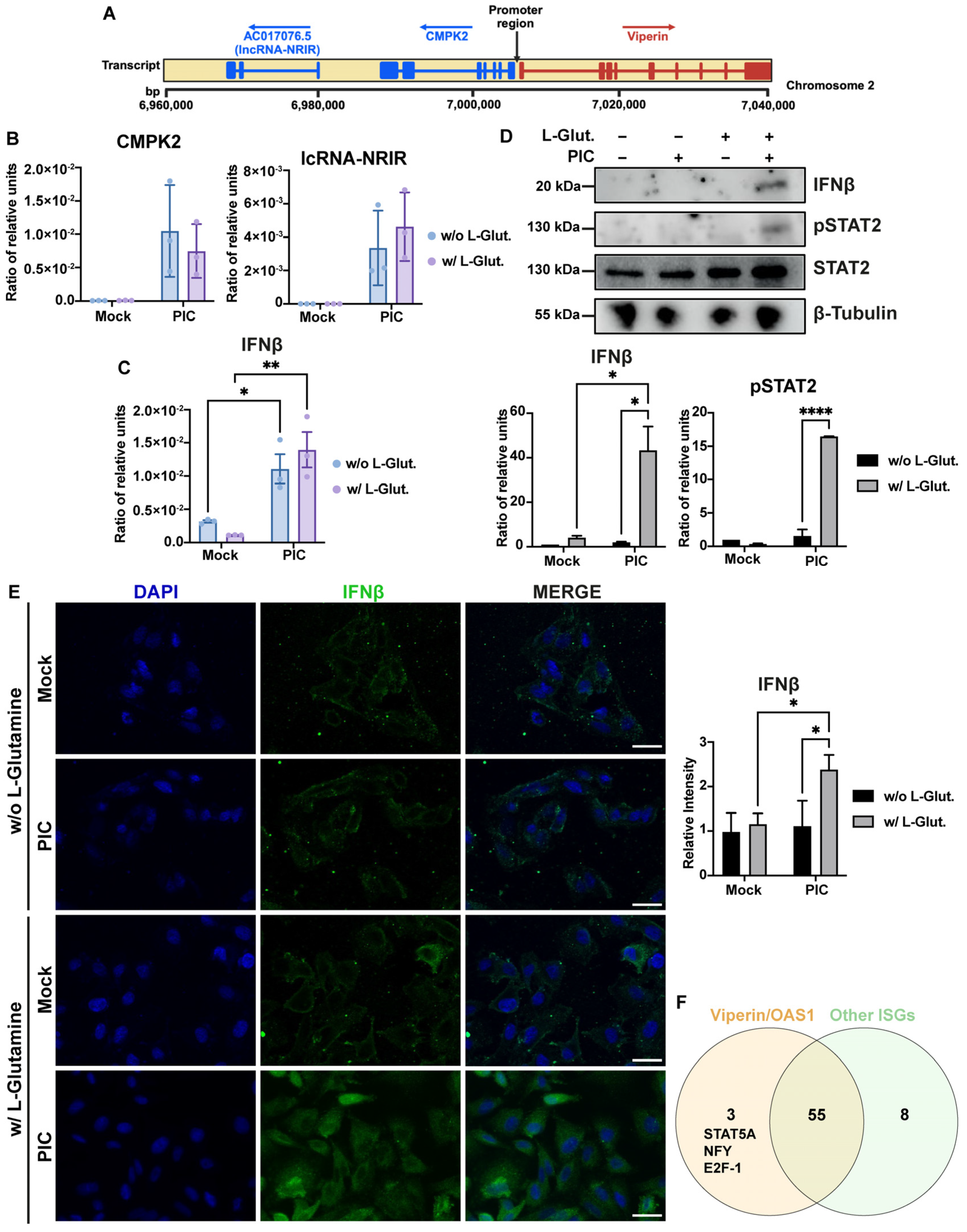 Viruses 16 01391 g006