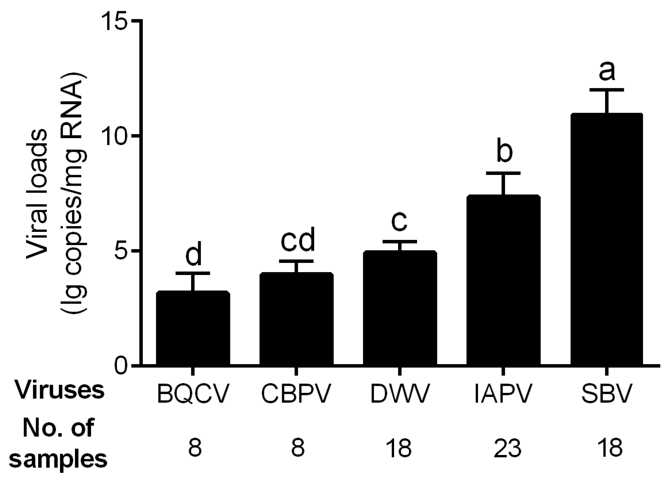 Viruses 16 01395 g002