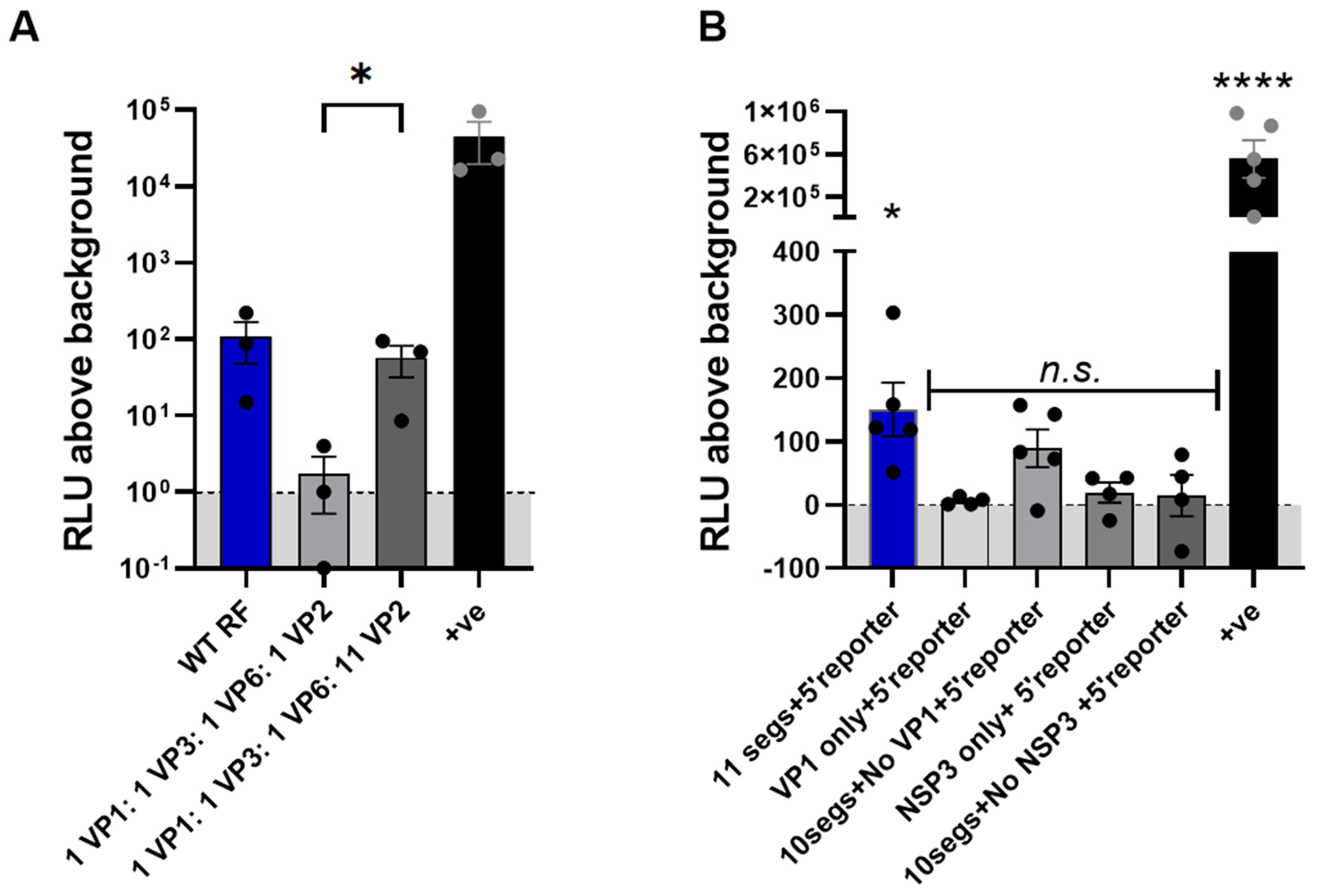 Viruses 16 01396 g004 Viruses 16 01396 g004