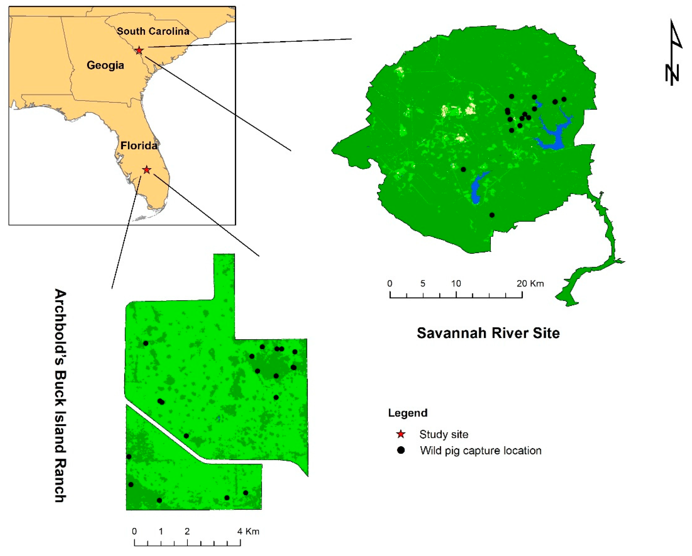 Viruses 16 01397 g001