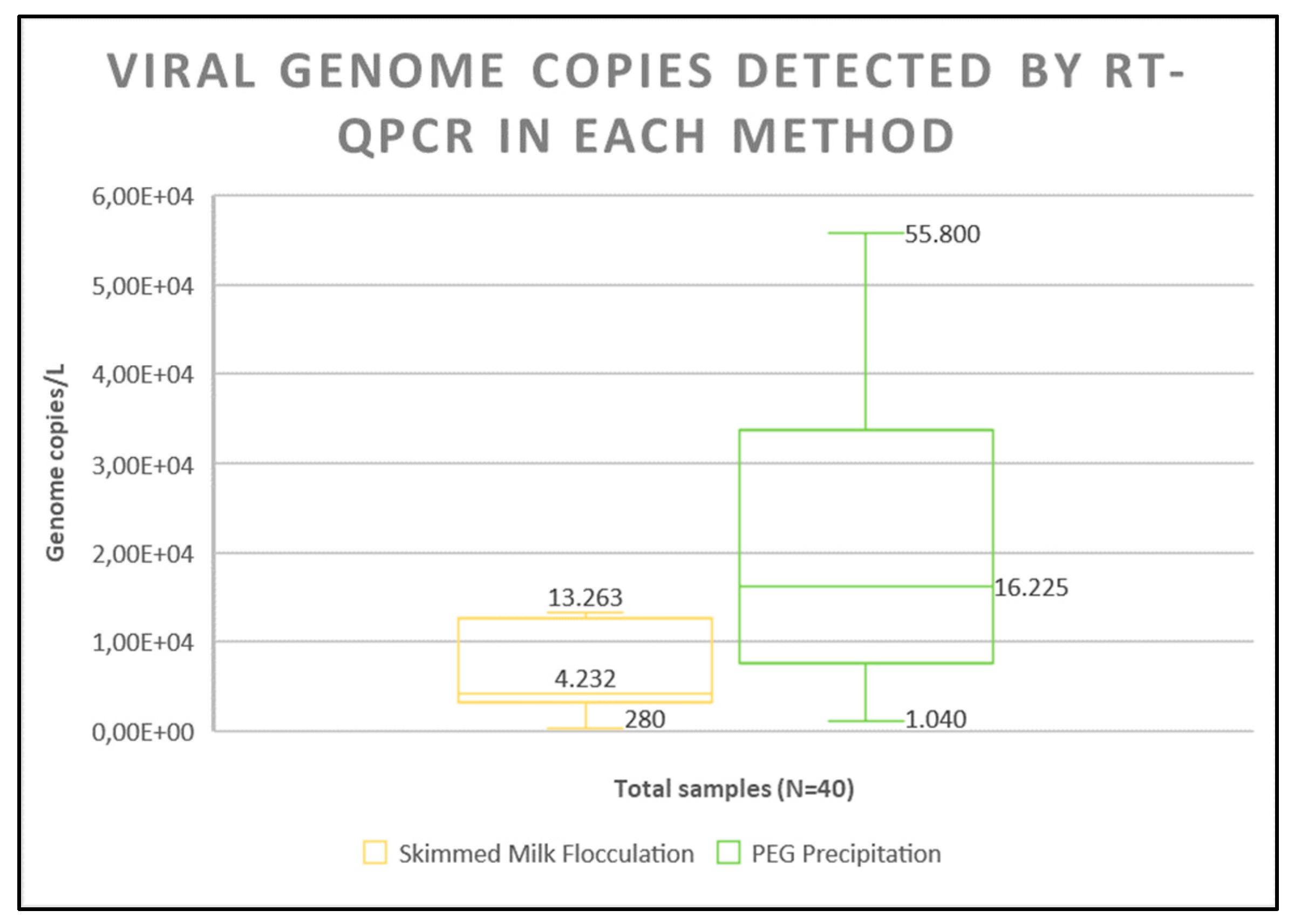 Viruses 16 01398 g001