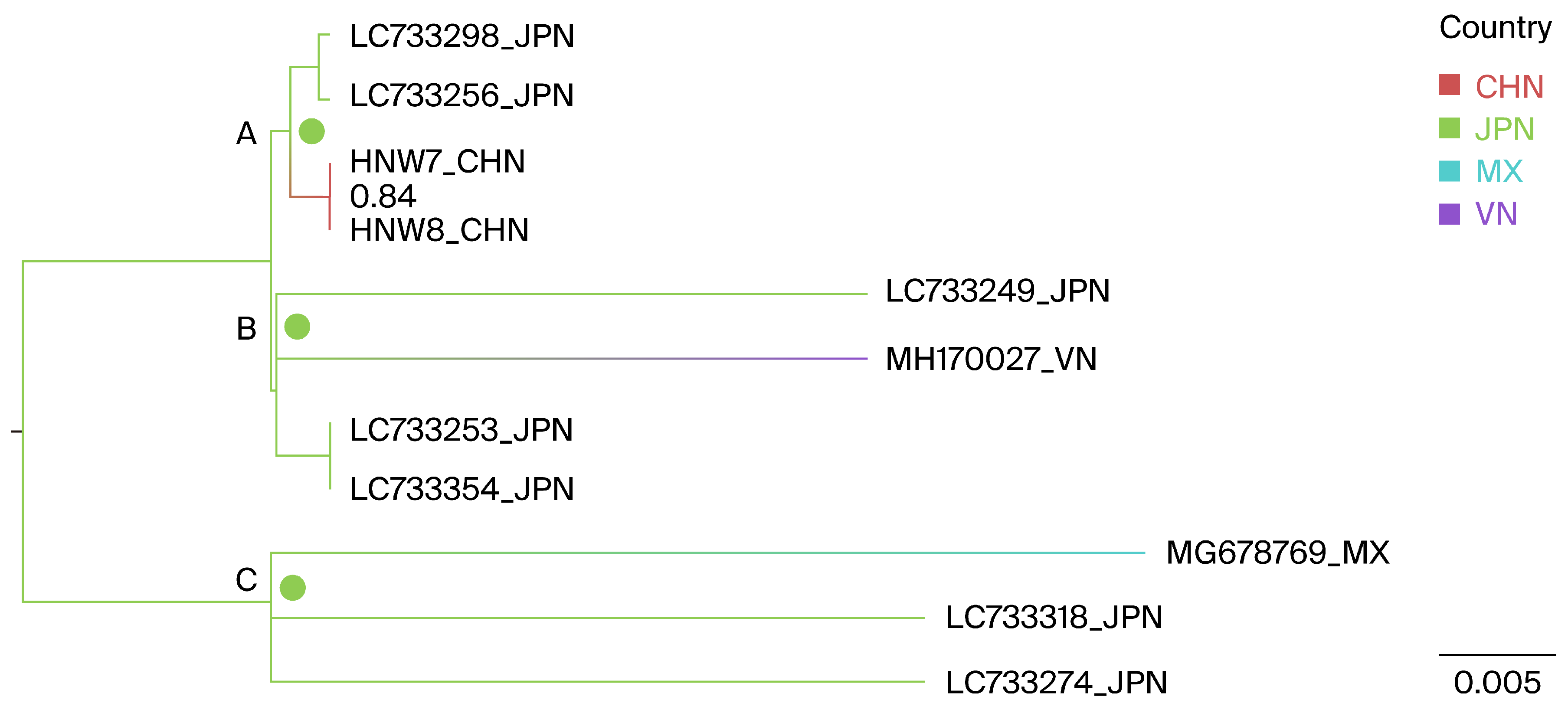 Viruses 16 01399 g004 Viruses 16 01399 g004