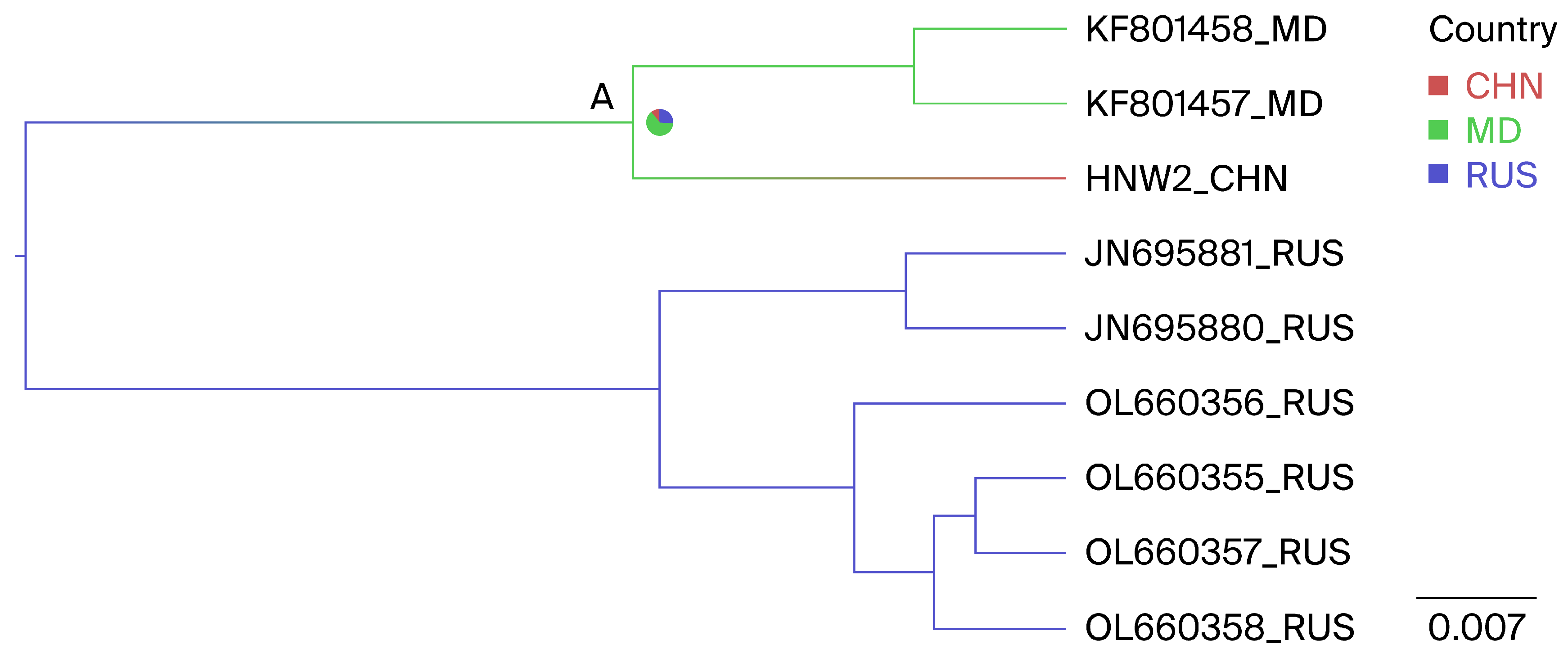 Viruses 16 01399 g005 Viruses 16 01399 g005