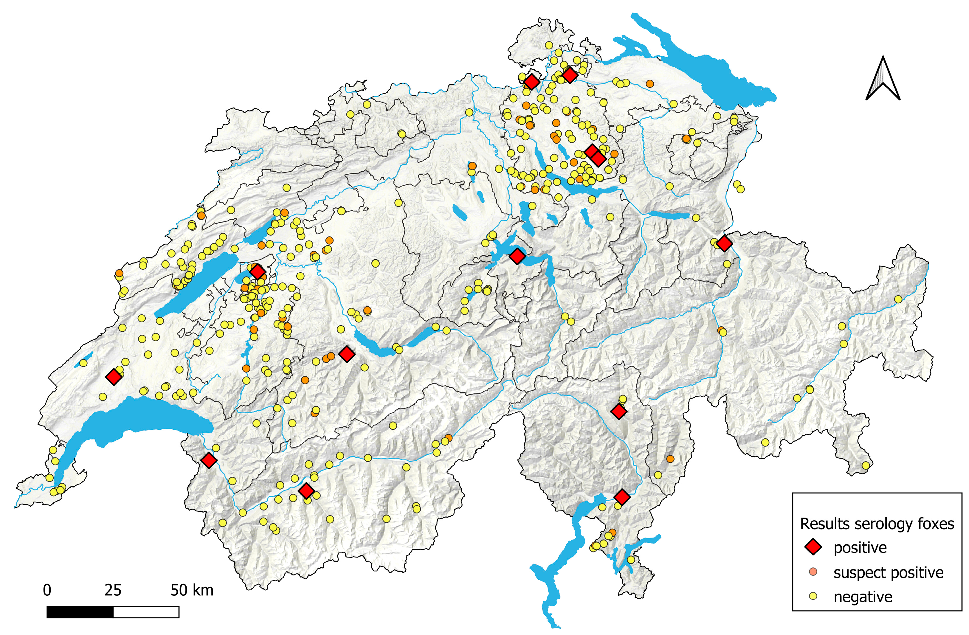 Viruses 16 01407 g004