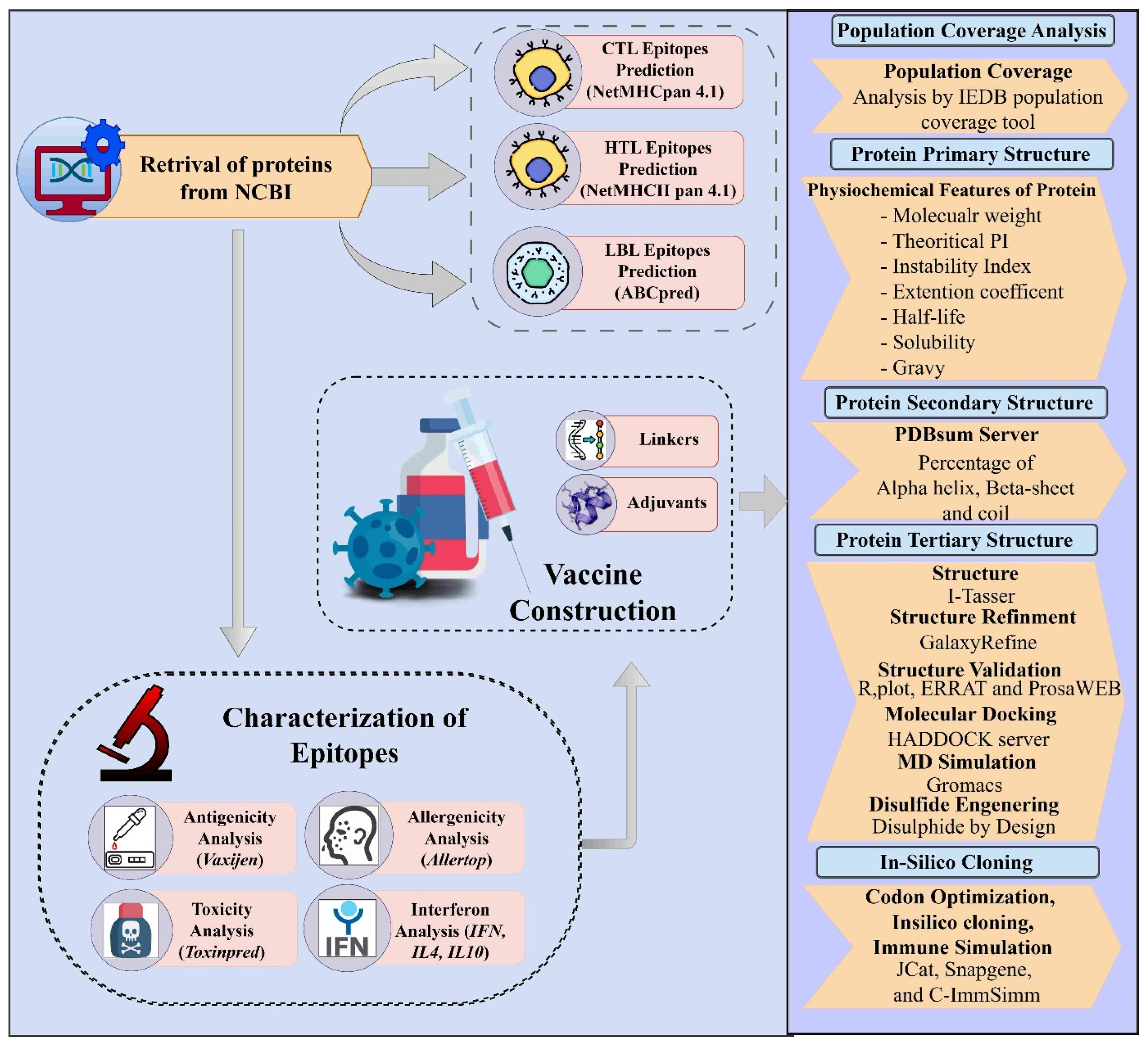 Targeting Yezo Virus Structural Proteins for Multi-Epitope Vaccine 