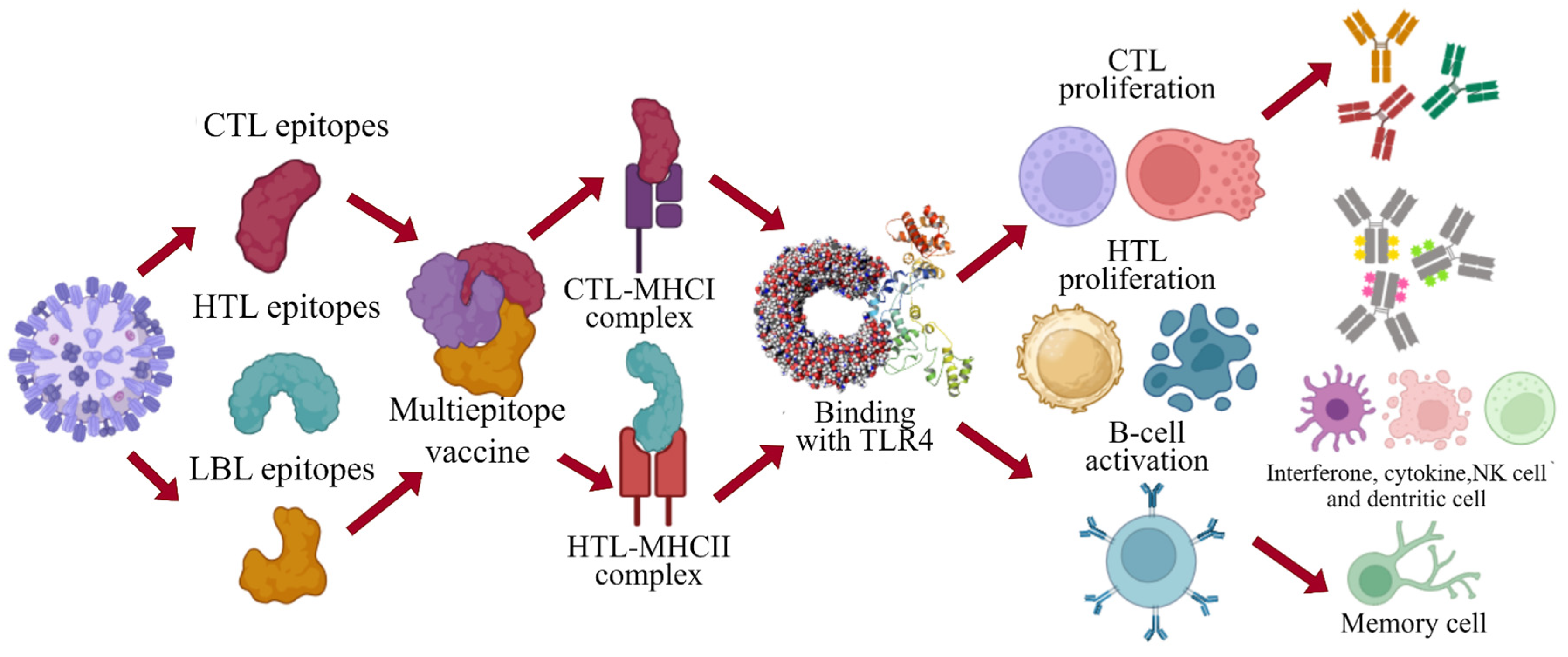 Viruses 16 01408 g012