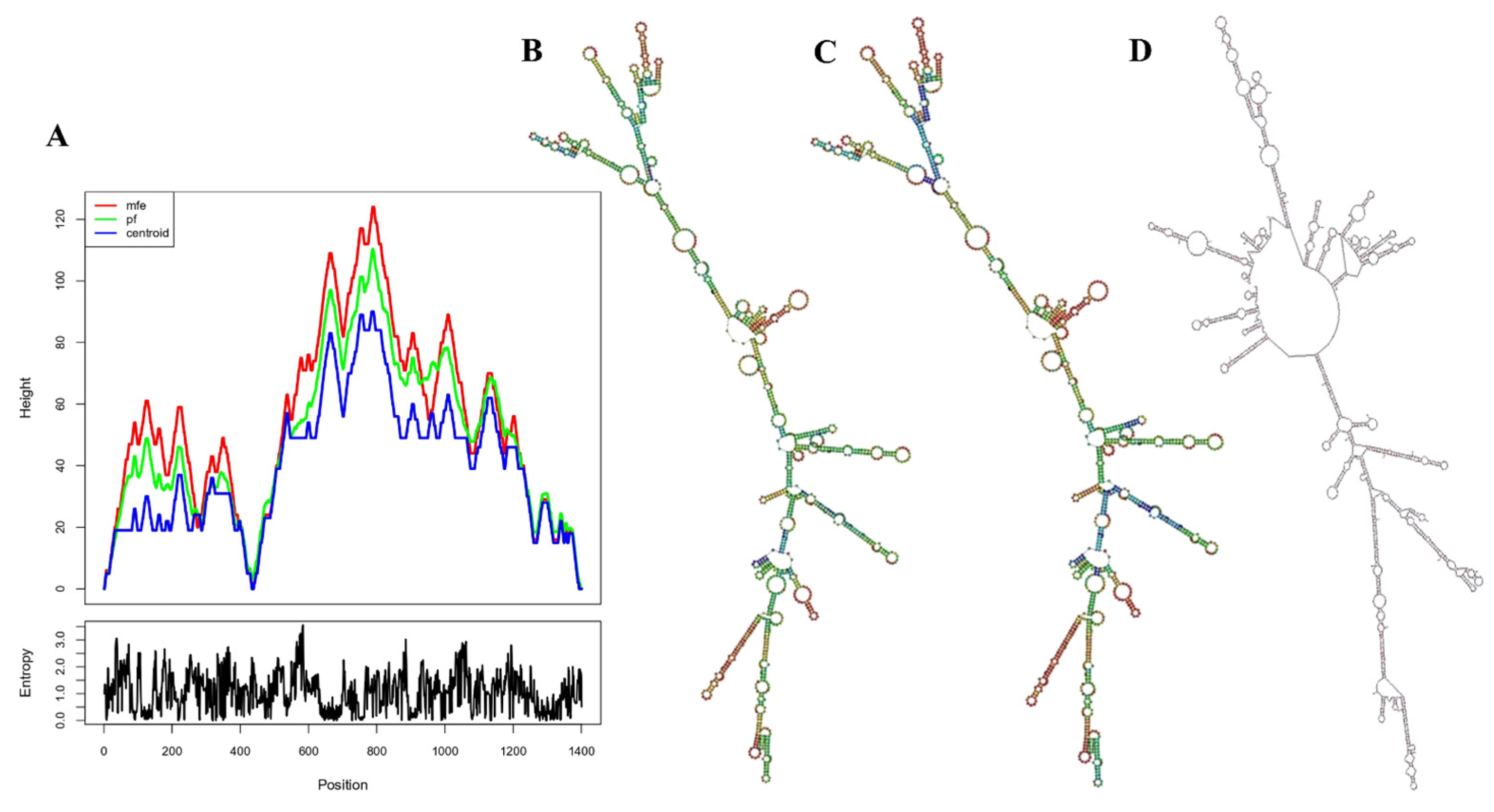 Viruses 16 01408 g013