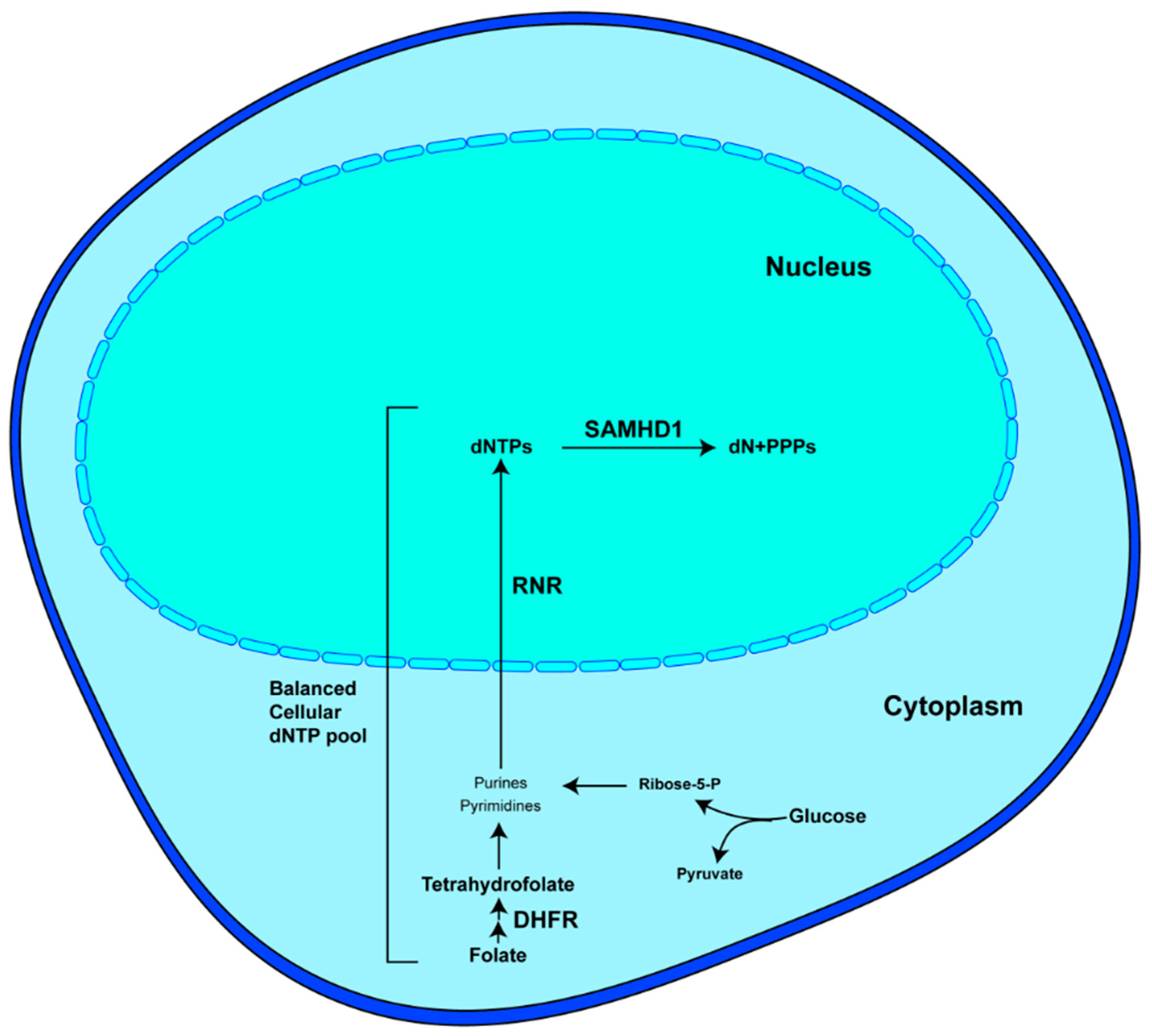 Viruses 16 01412 g001 Viruses 16 01412 g001