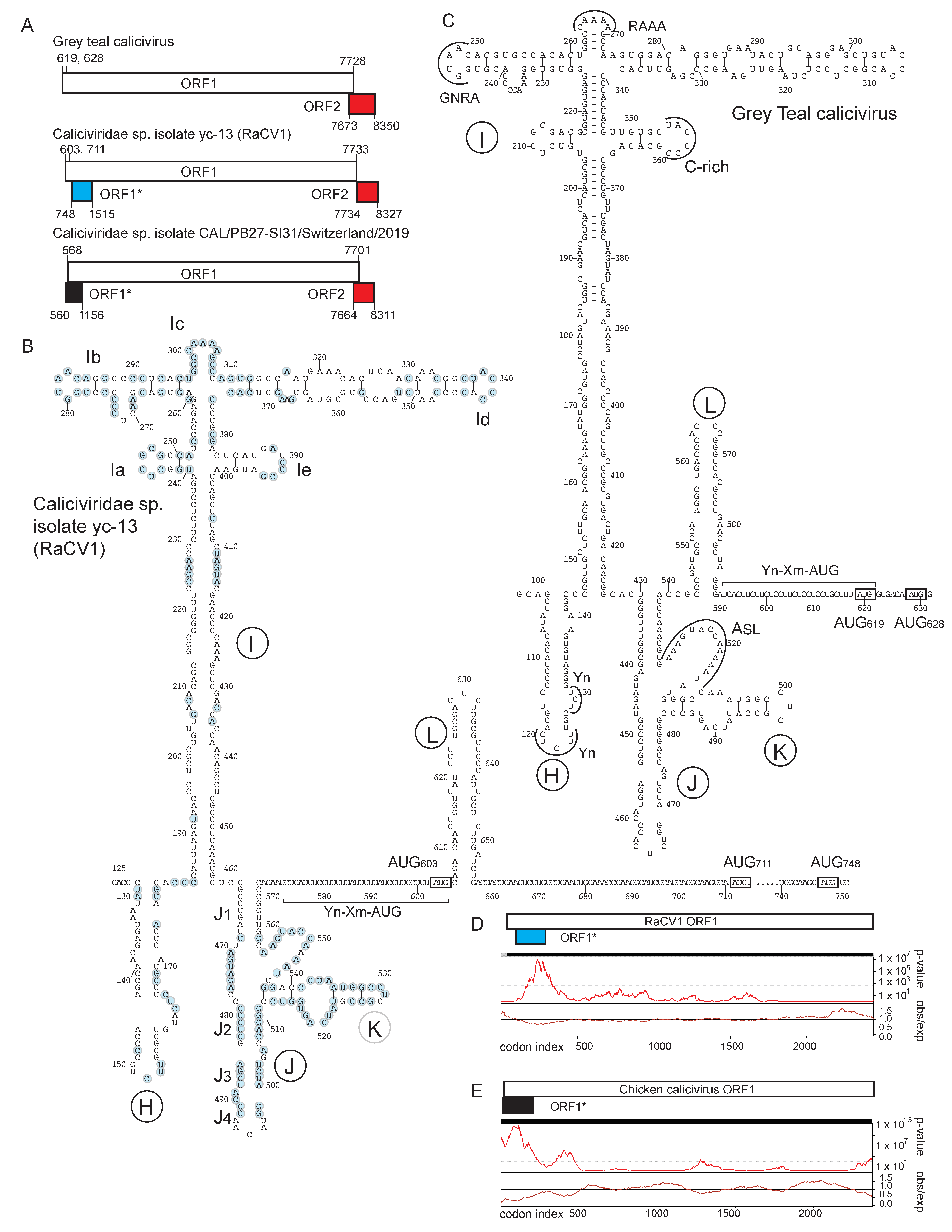 Viruses 16 01413 g001 Viruses 16 01413 g001