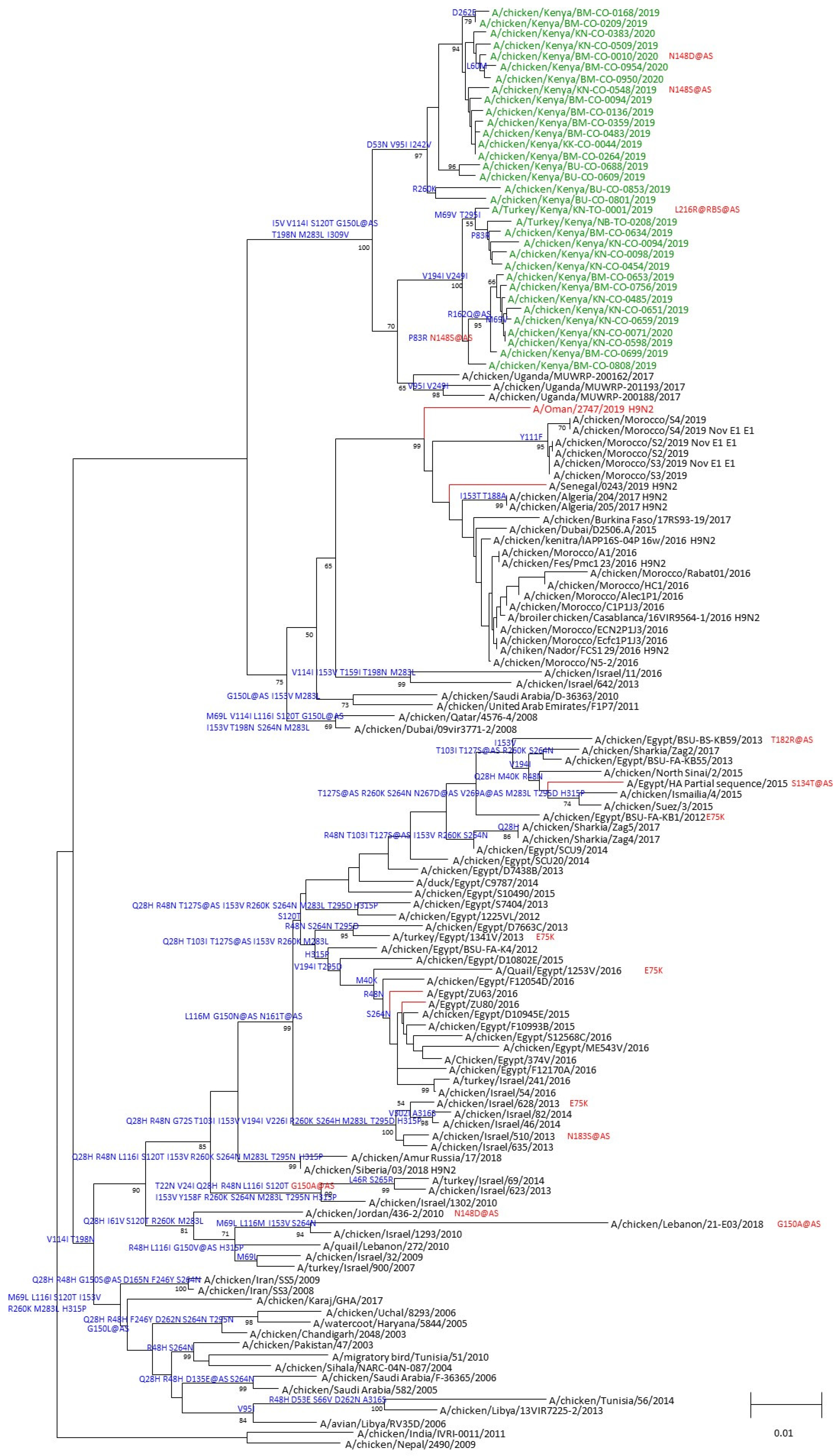 Viruses 16 01417 g003