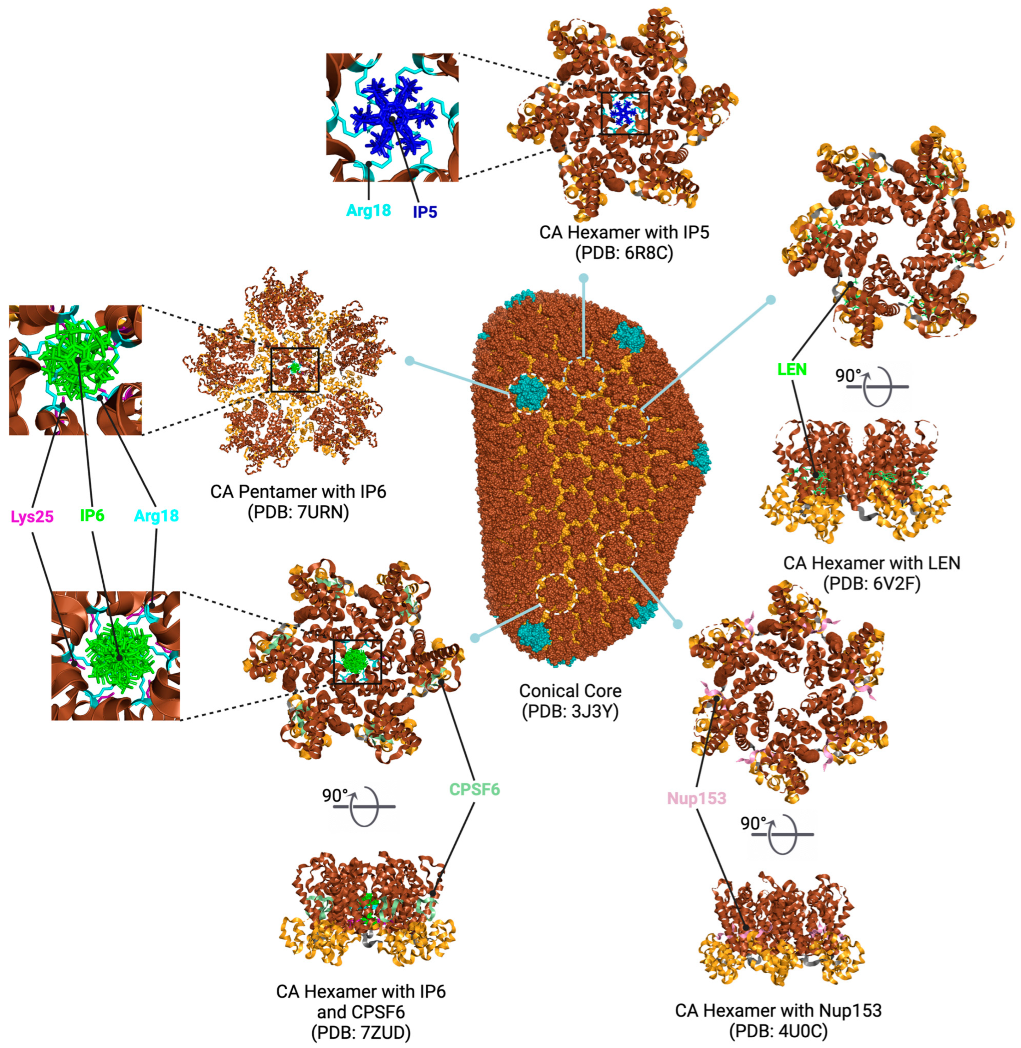 Viruses 16 01423 g003