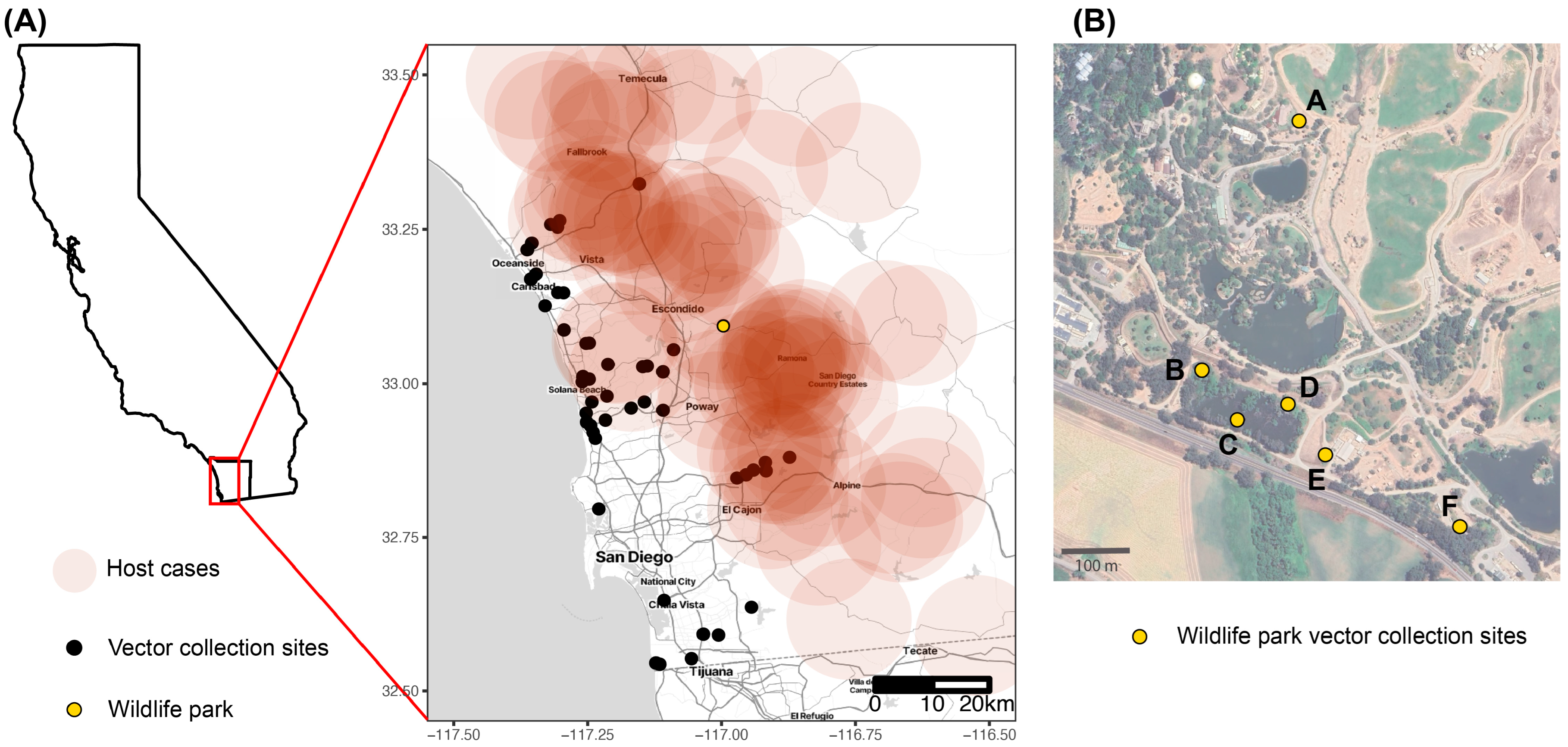 Viruses 16 01428 g001