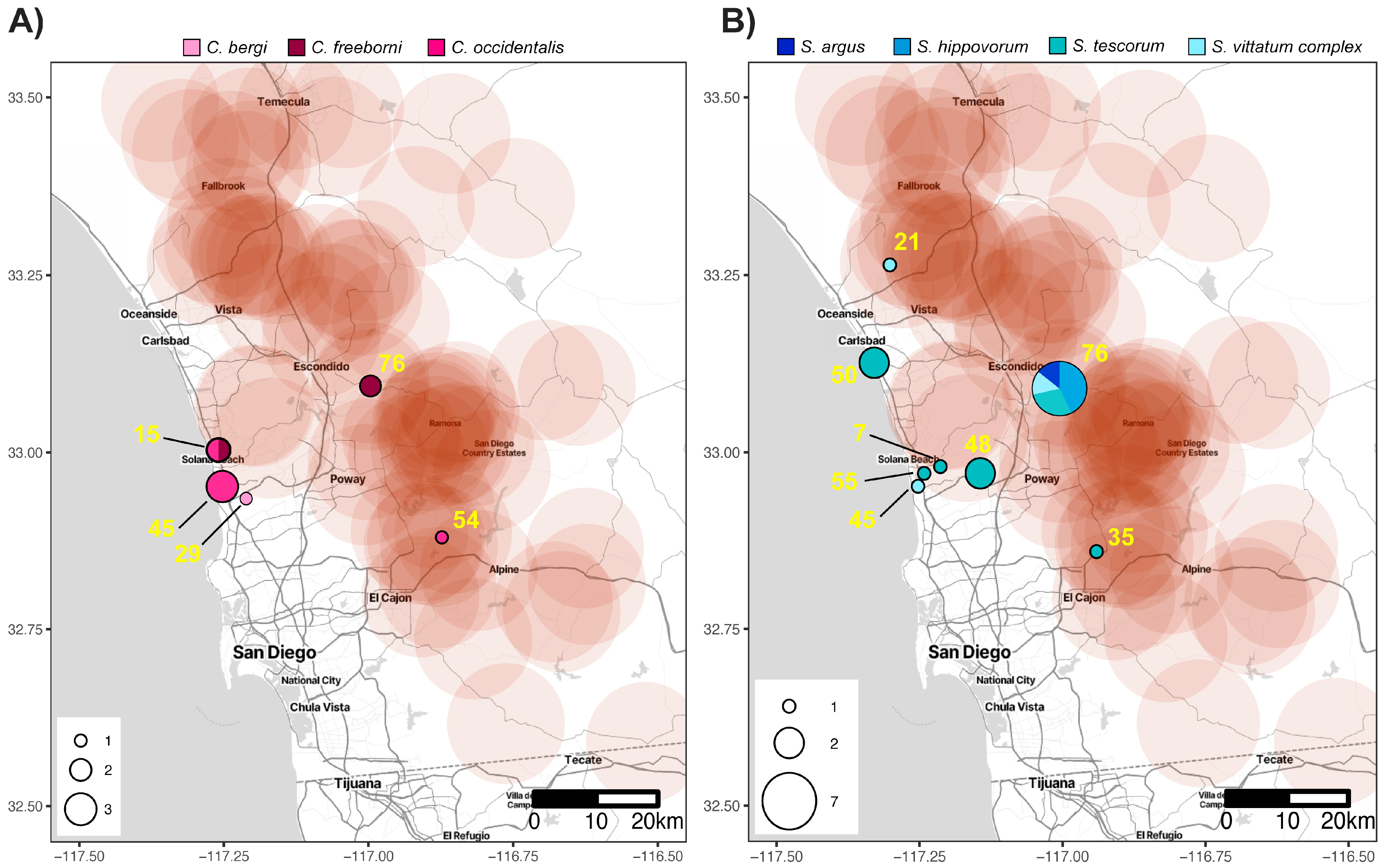 Viruses 16 01428 g003